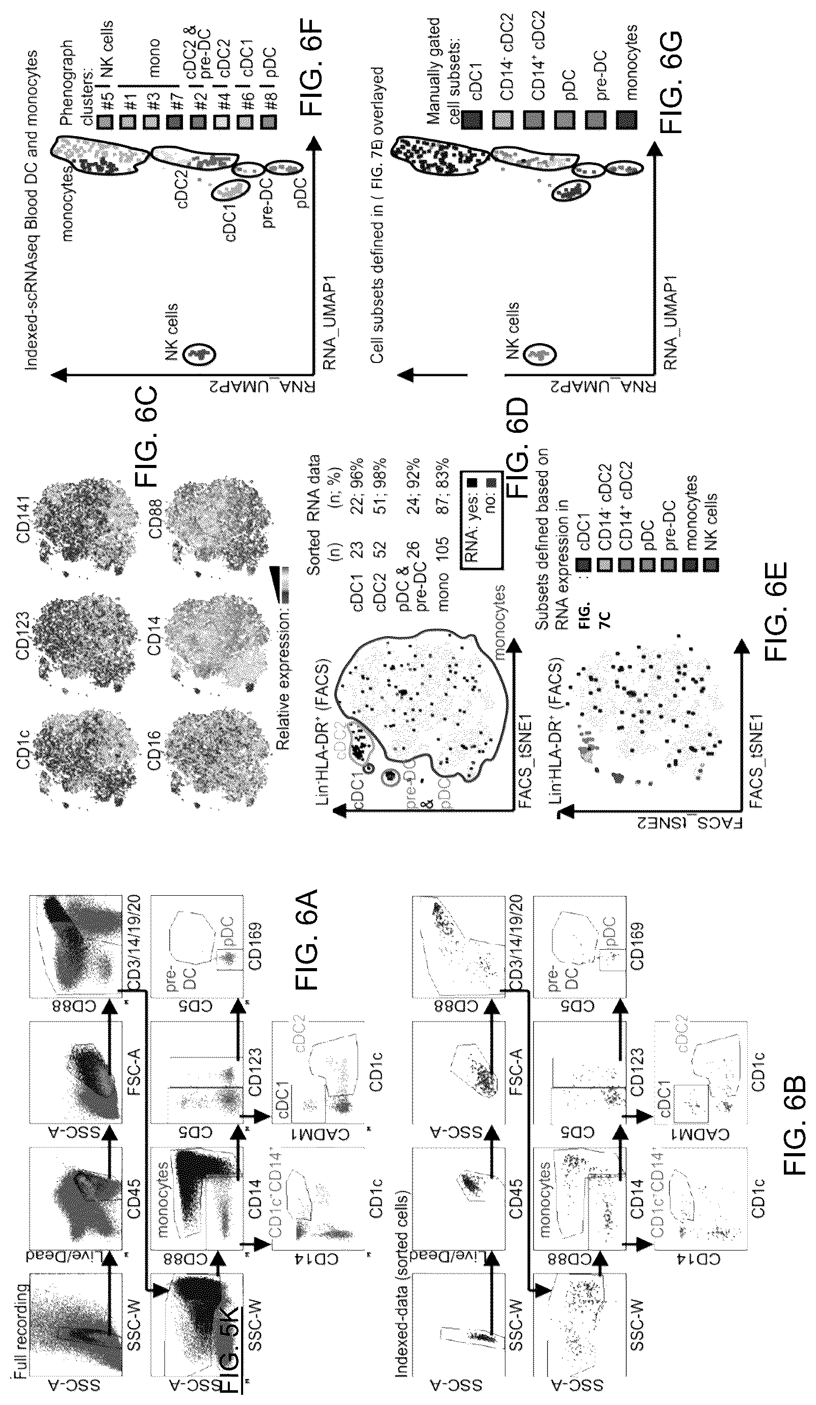 Patent US12618837 Figure 12 – Method of identifying pro-inflammatory dendritic cells
