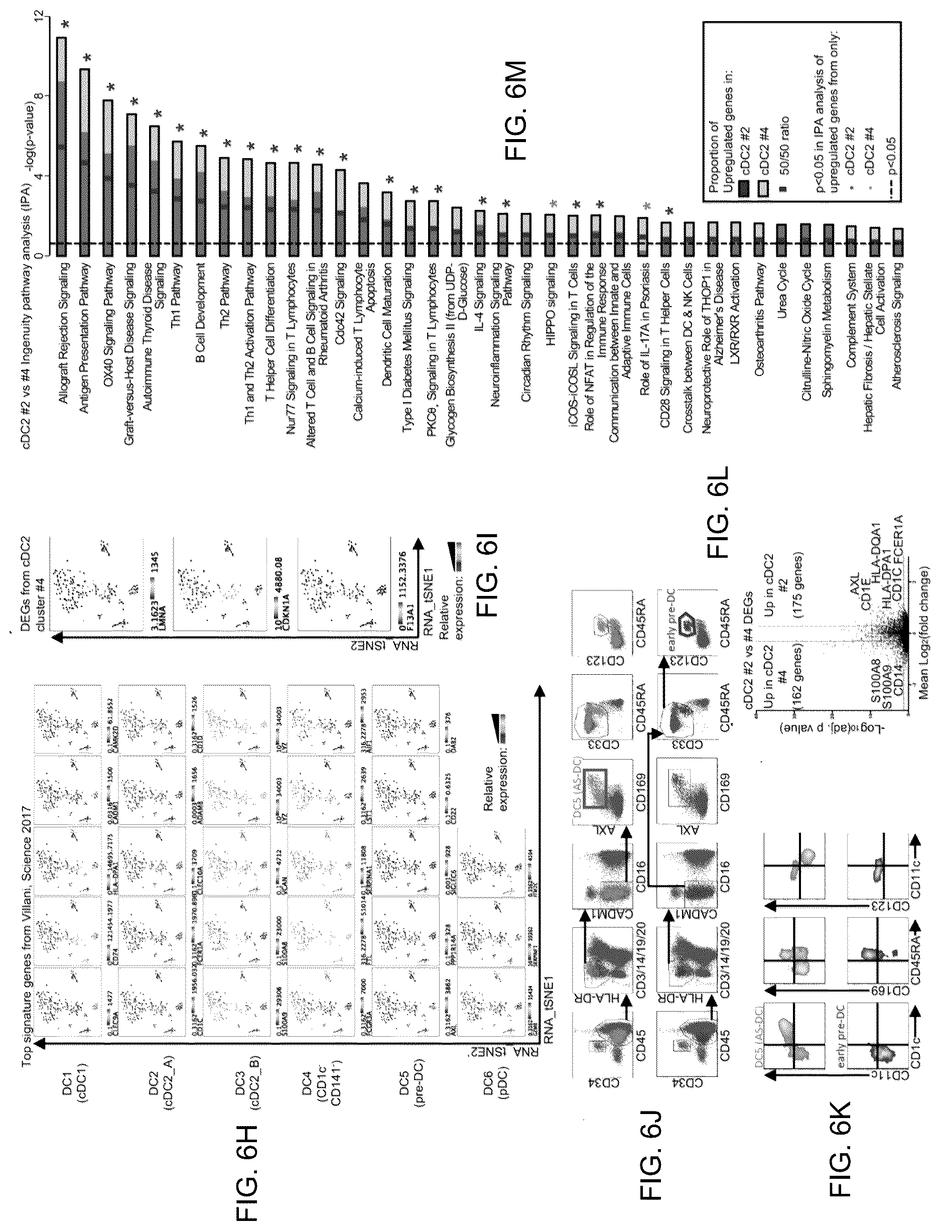 Patent US12618837 Figure 13 – Method of identifying pro-inflammatory dendritic cells