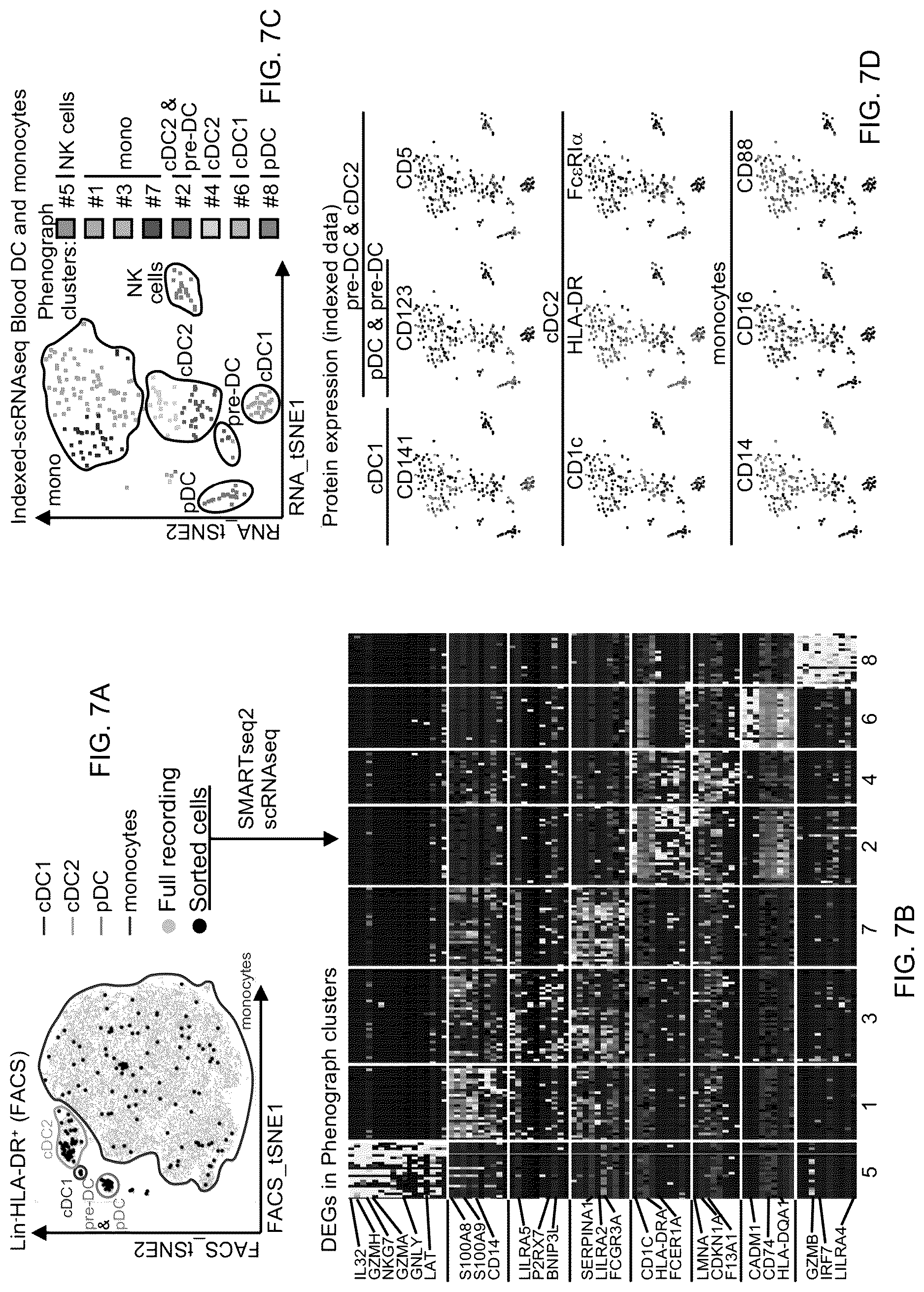 Patent US12618837 Figure 14 – Method of identifying pro-inflammatory dendritic cells