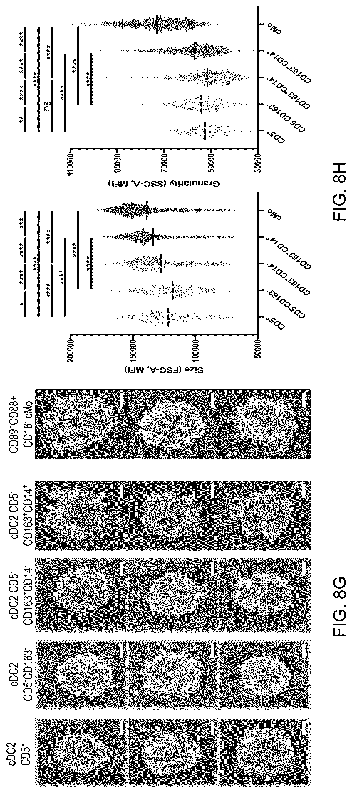 Patent US12618837 Figure 17 – Method of identifying pro-inflammatory dendritic cells
