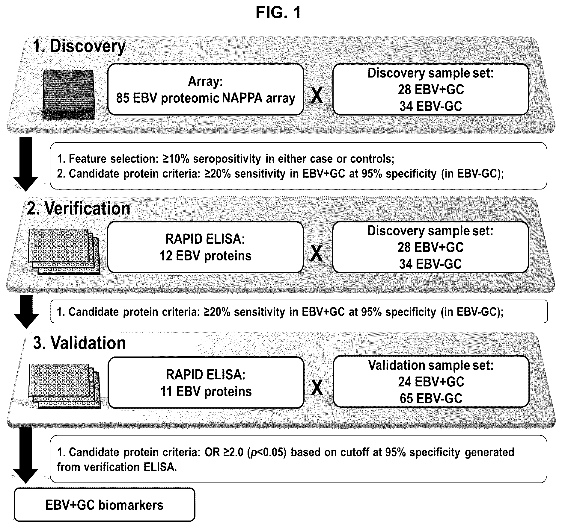 Patent US12618839 Figure 1 – Antibodies for detecting Epstein Barr virus-positive gastric cancer