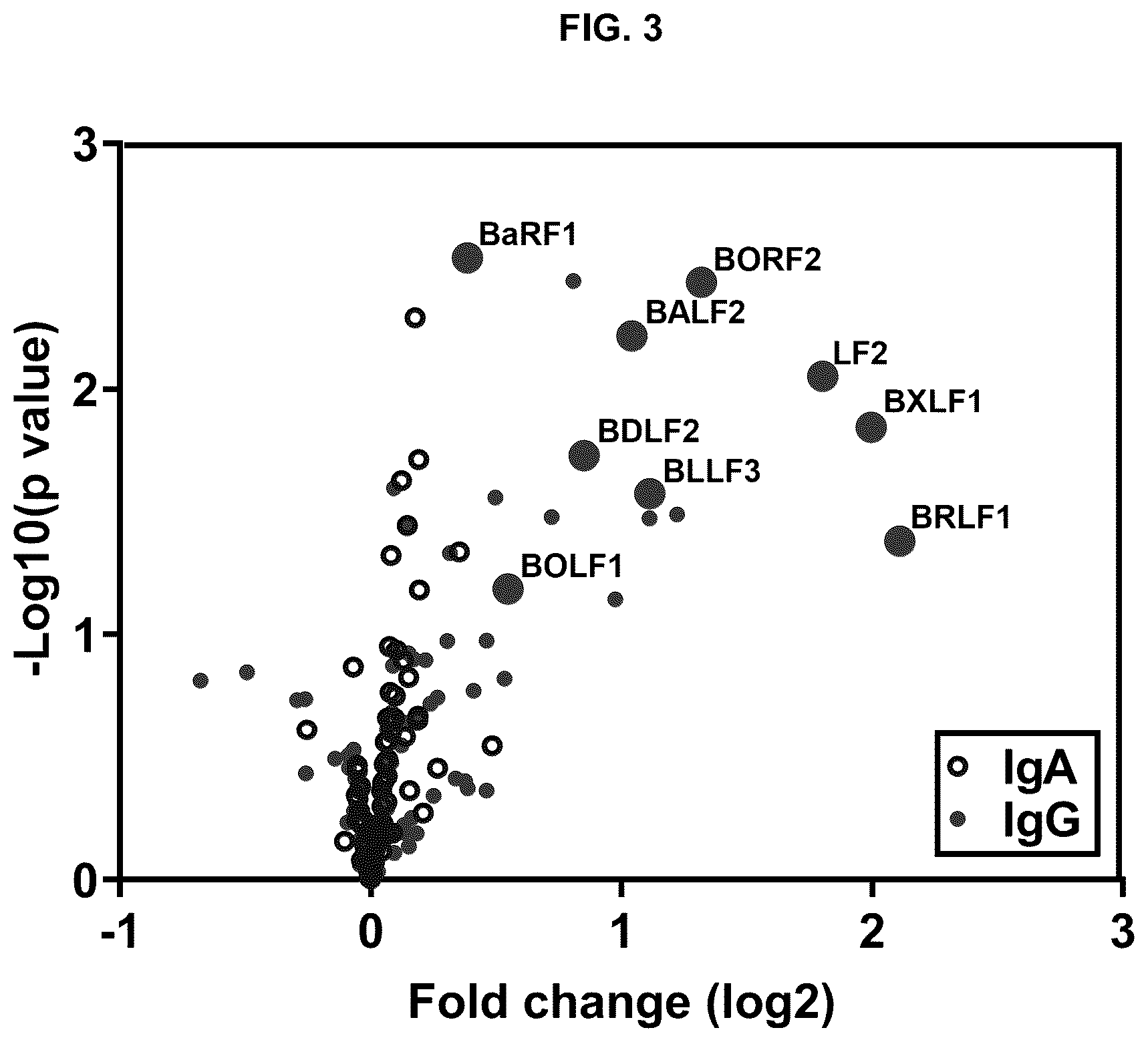 Patent US12618839 Figure 3 – Antibodies for detecting Epstein Barr virus-positive gastric cancer