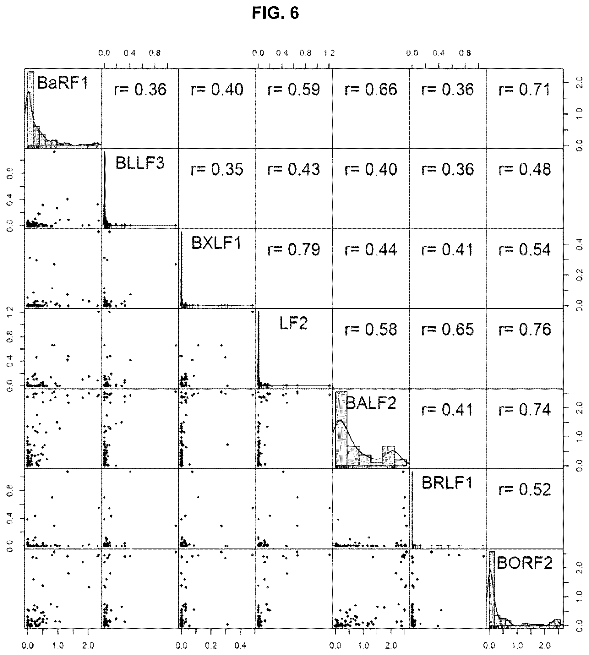 Patent US12618839 Figure 7 – Antibodies for detecting Epstein Barr virus-positive gastric cancer