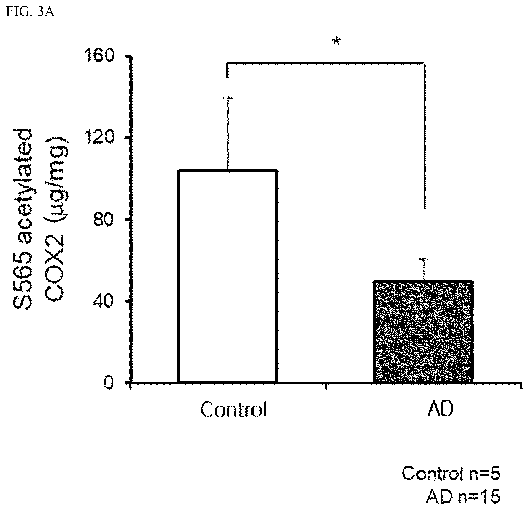 Patent US12618840 Figure 5 – Antibody for detecting acetylation of COX2 protein, and uses thereof