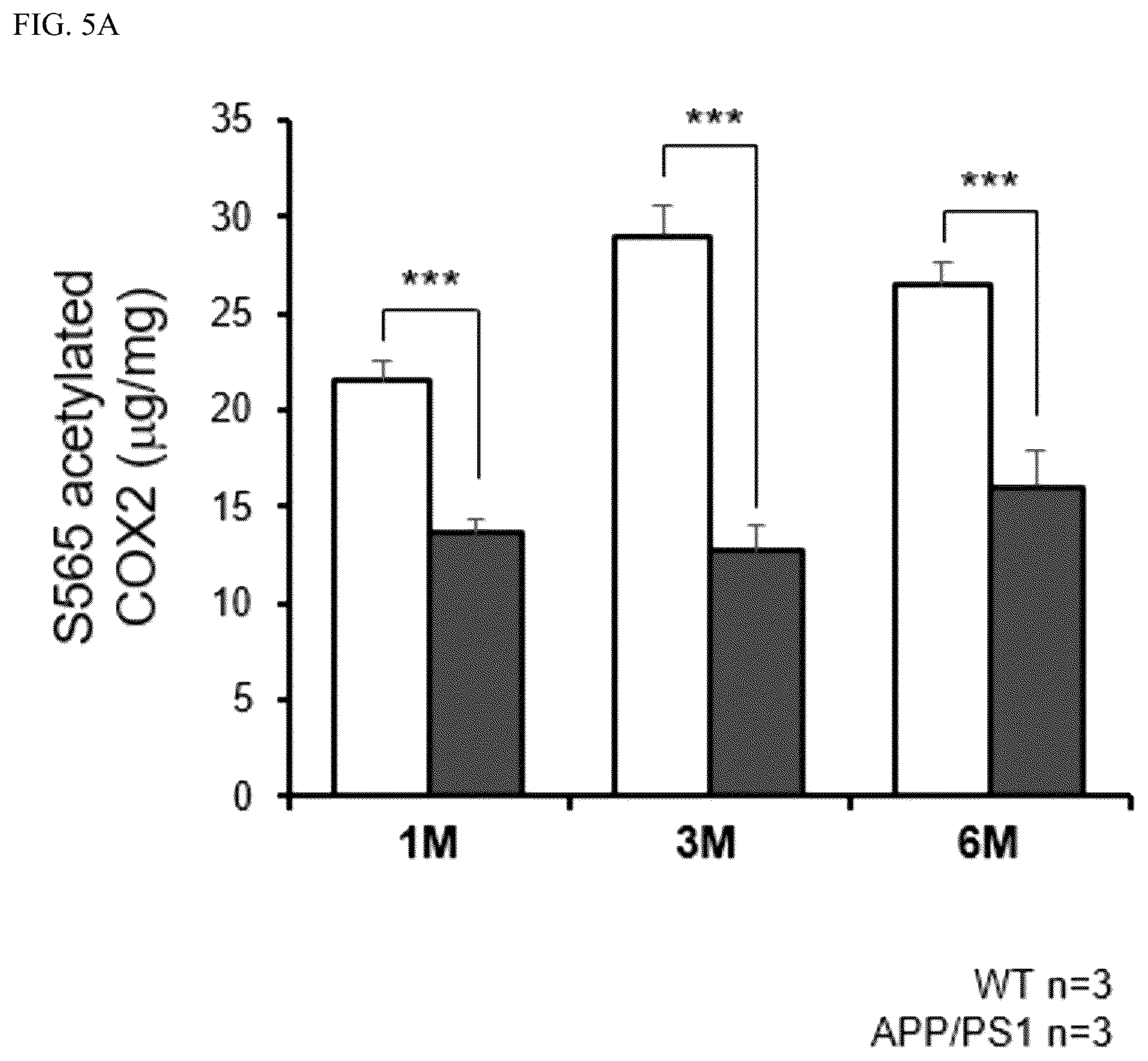 Patent US12618840 Figure 9 – Antibody for detecting acetylation of COX2 protein, and uses thereof
