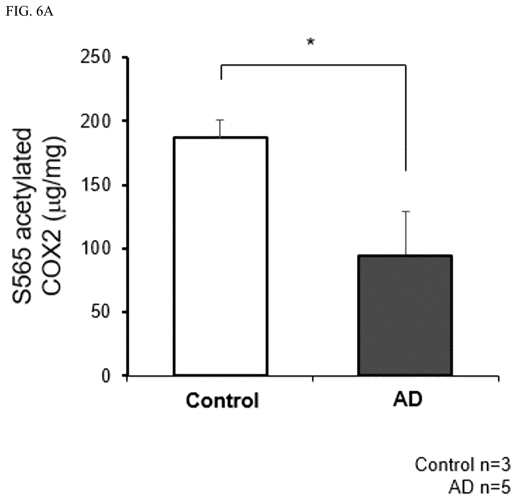 Patent US12618840 Figure 11 – Antibody for detecting acetylation of COX2 protein, and uses thereof