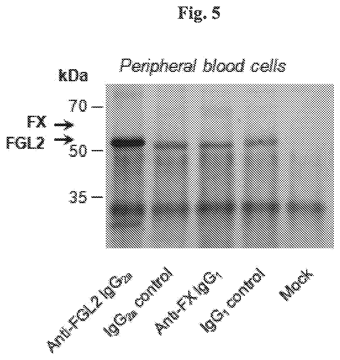 Patent US12618841 Figure 6 – Methods of diagnosing malignant diseases