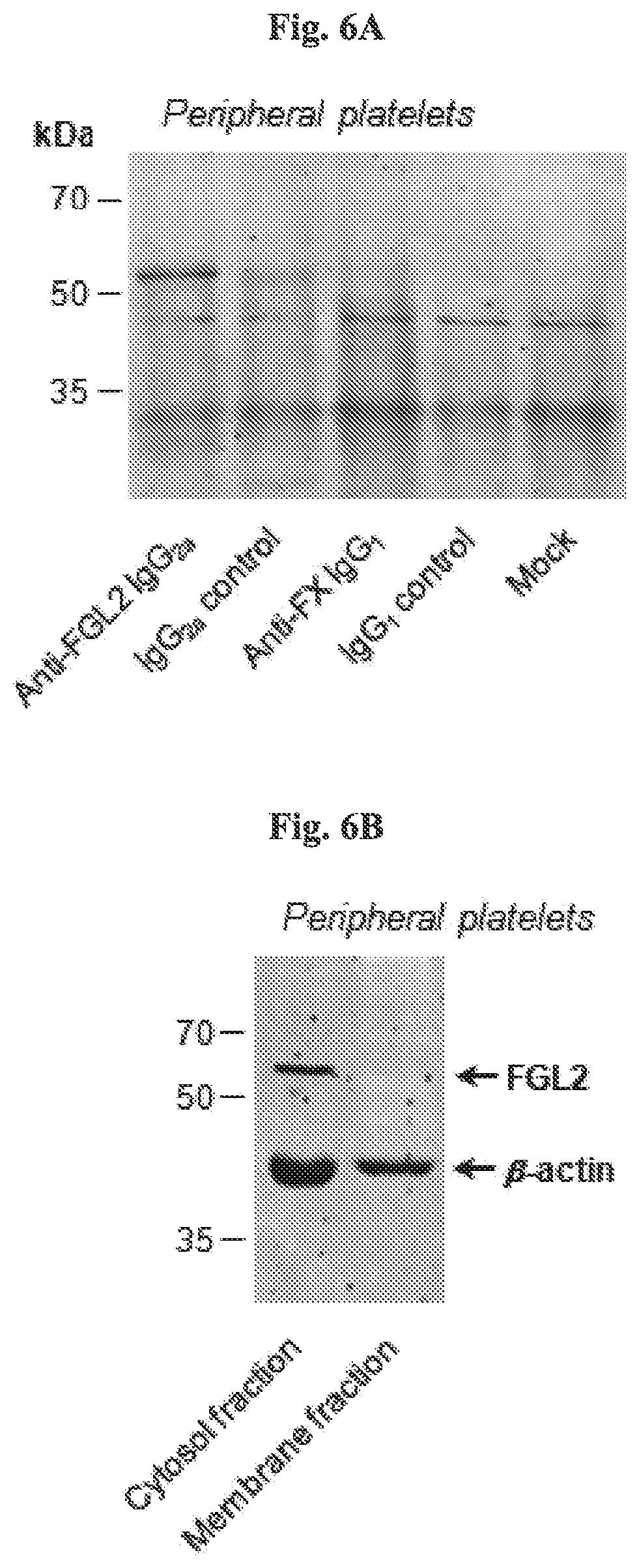 Patent US12618841 Figure 7 – Methods of diagnosing malignant diseases