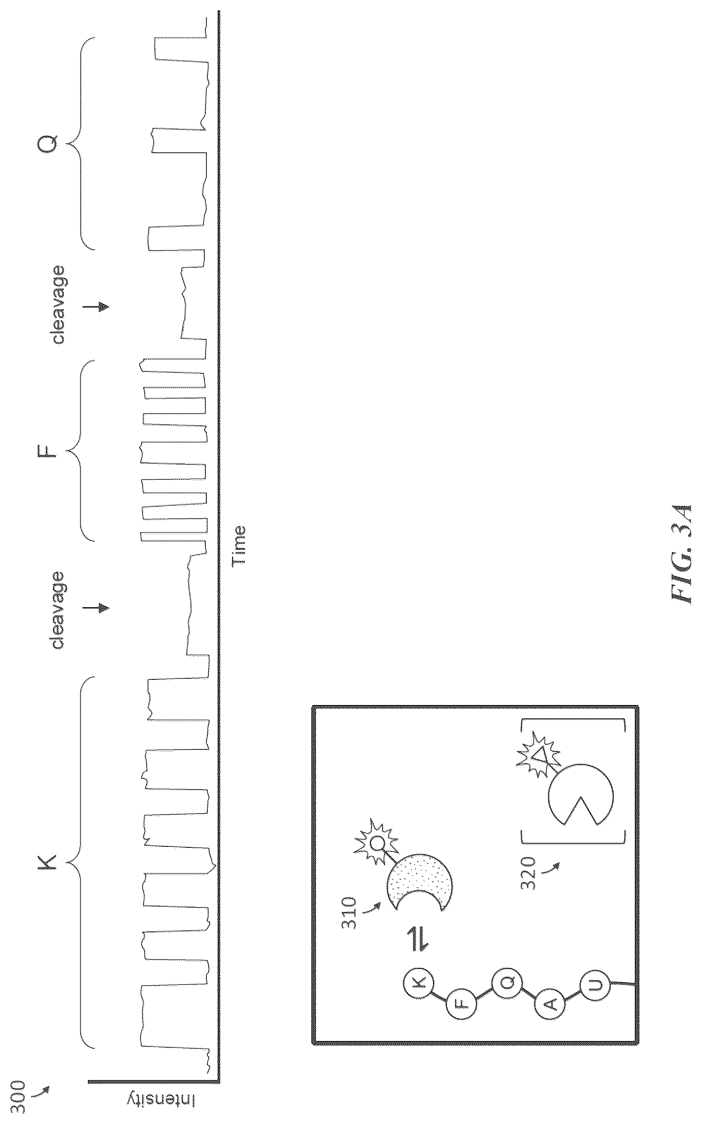 Patent US12618845 Figure 5 – Methods and compositions for protein sequencing