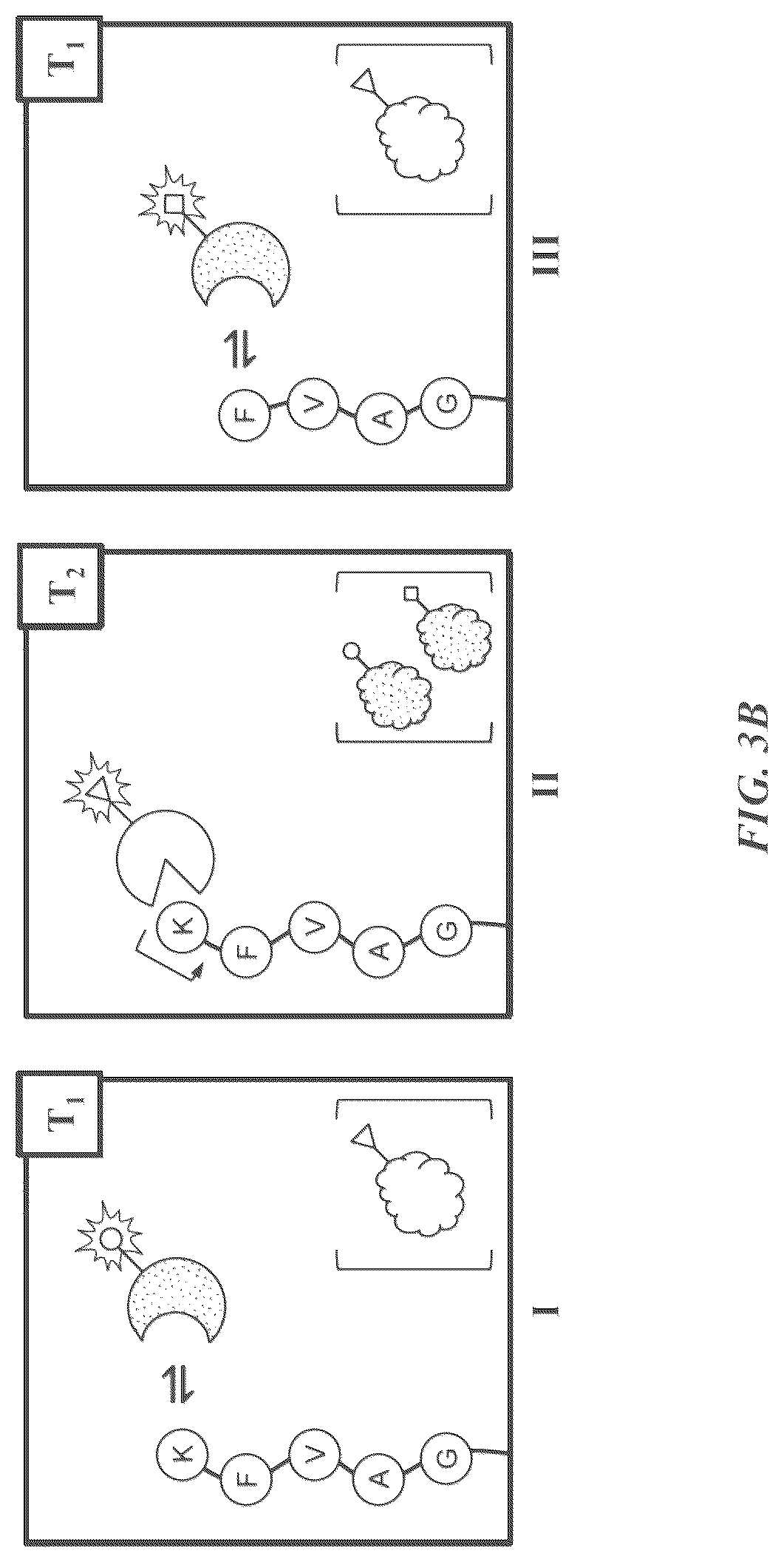 Patent US12618845 Figure 6 – Methods and compositions for protein sequencing