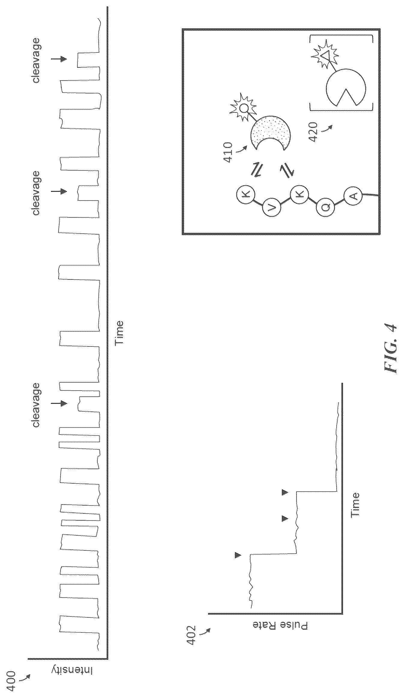 Patent US12618845 Figure 7 – Methods and compositions for protein sequencing