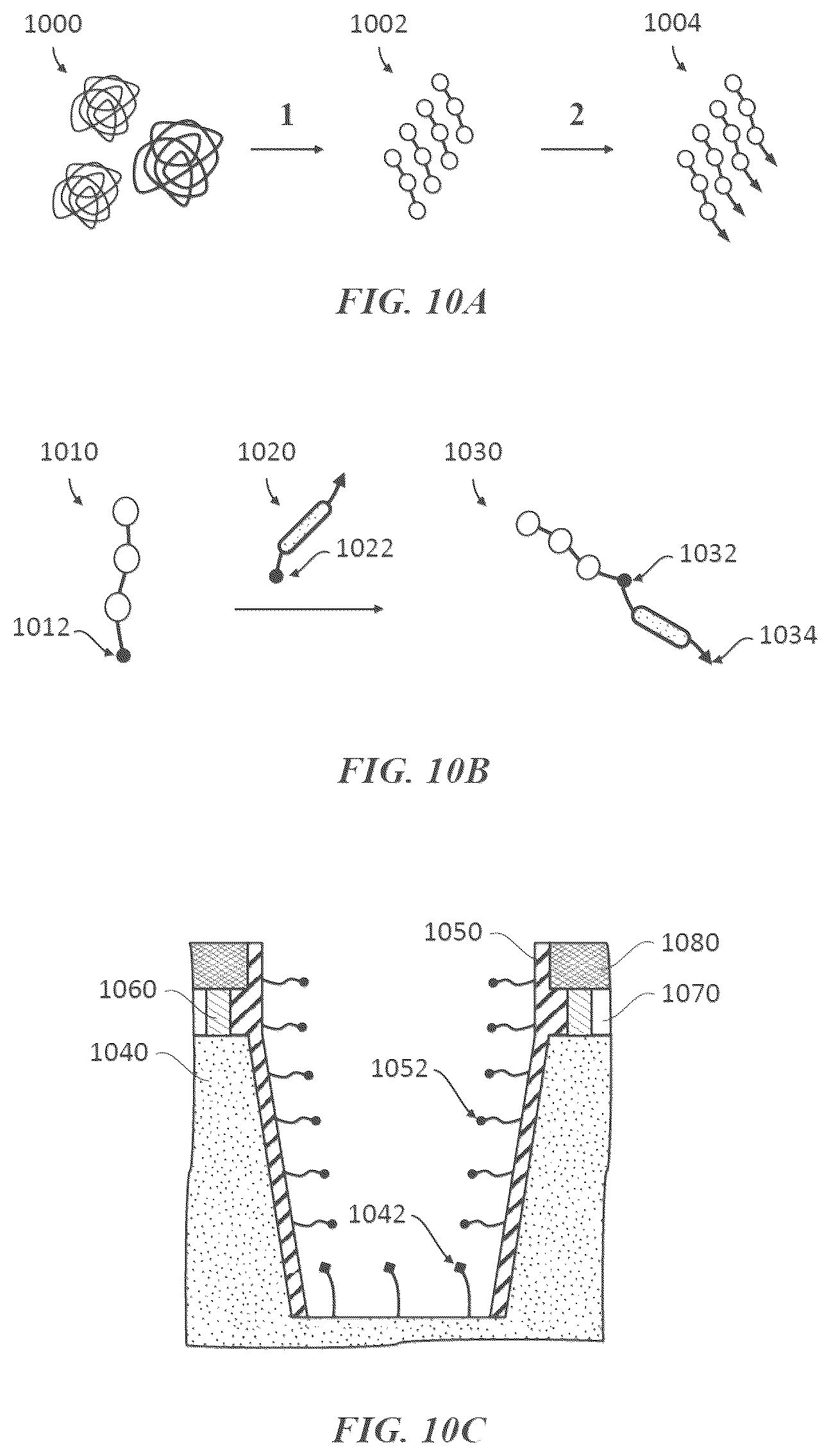 Patent US12618845 Figure 14 – Methods and compositions for protein sequencing