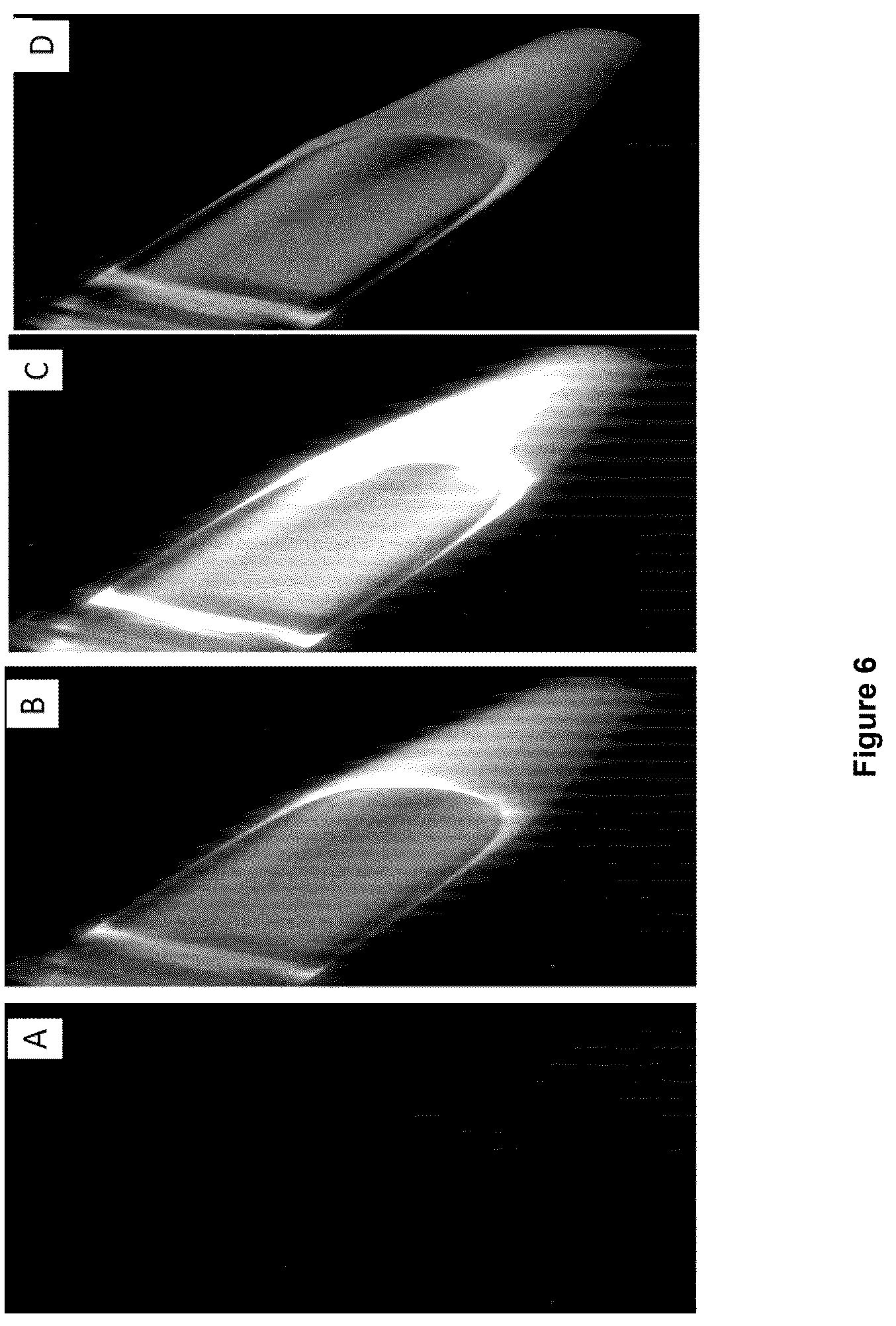 Patent US12618846 Figure 7 – Method and device for imaging fluorescent proteins in near- and short-wave infrared