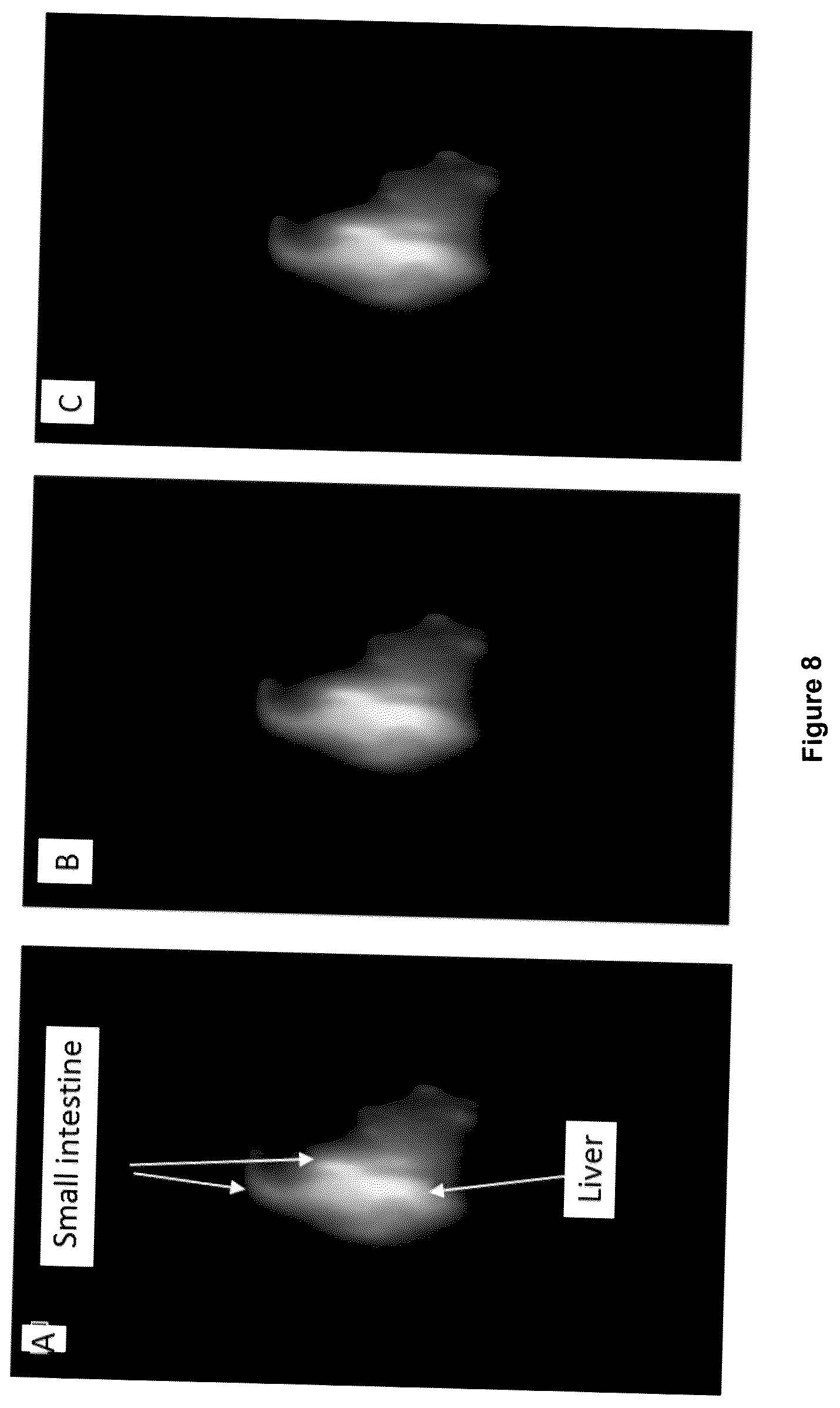 Patent US12618846 Figure 9 – Method and device for imaging fluorescent proteins in near- and short-wave infrared