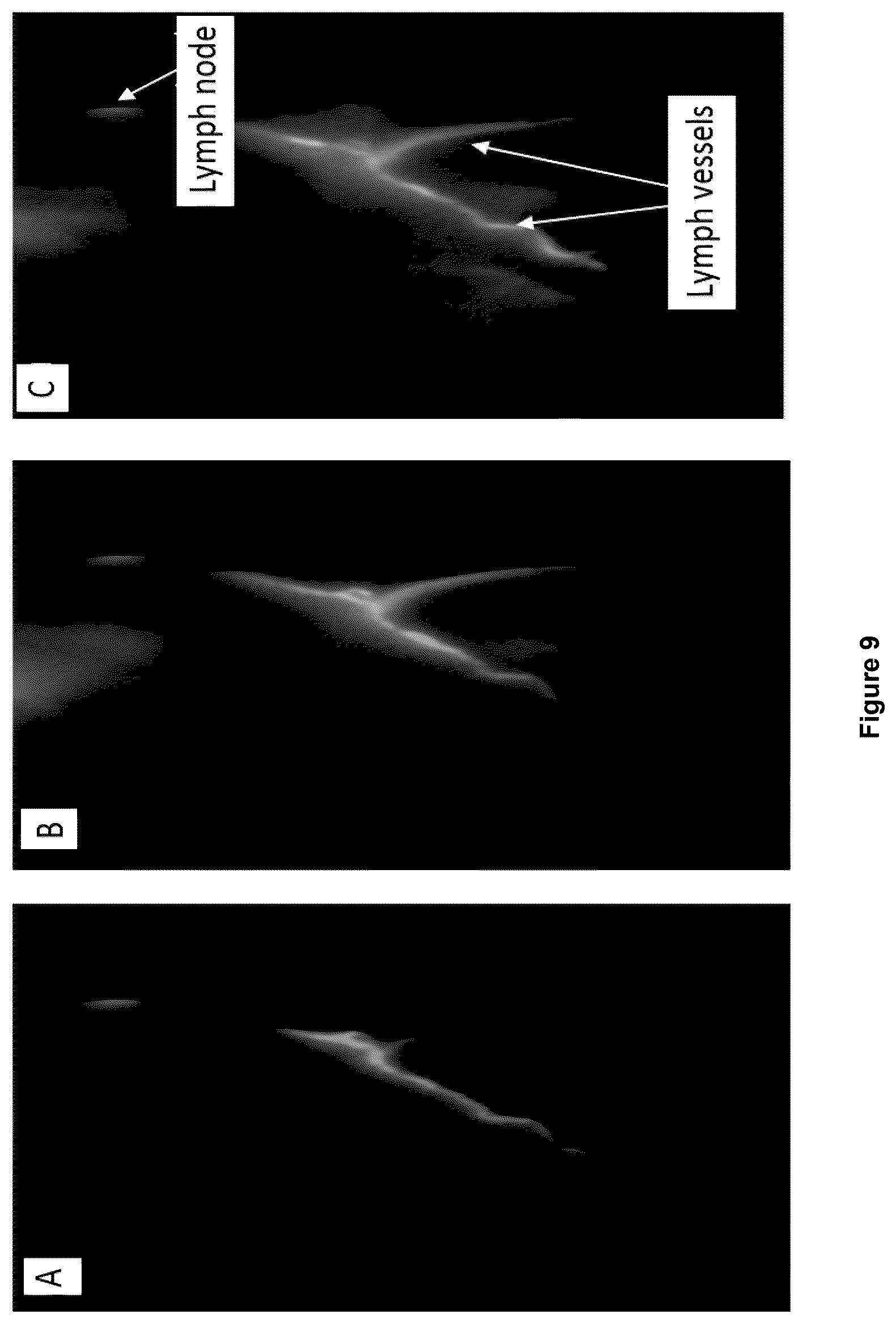 Patent US12618846 Figure 10 – Method and device for imaging fluorescent proteins in near- and short-wave infrared