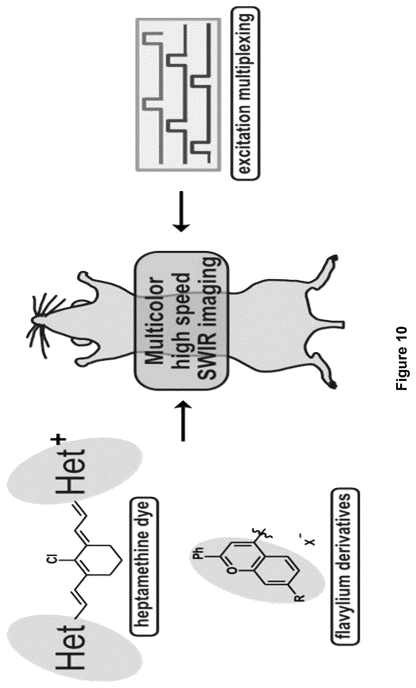 Patent US12618846 Figure 11 – Method and device for imaging fluorescent proteins in near- and short-wave infrared