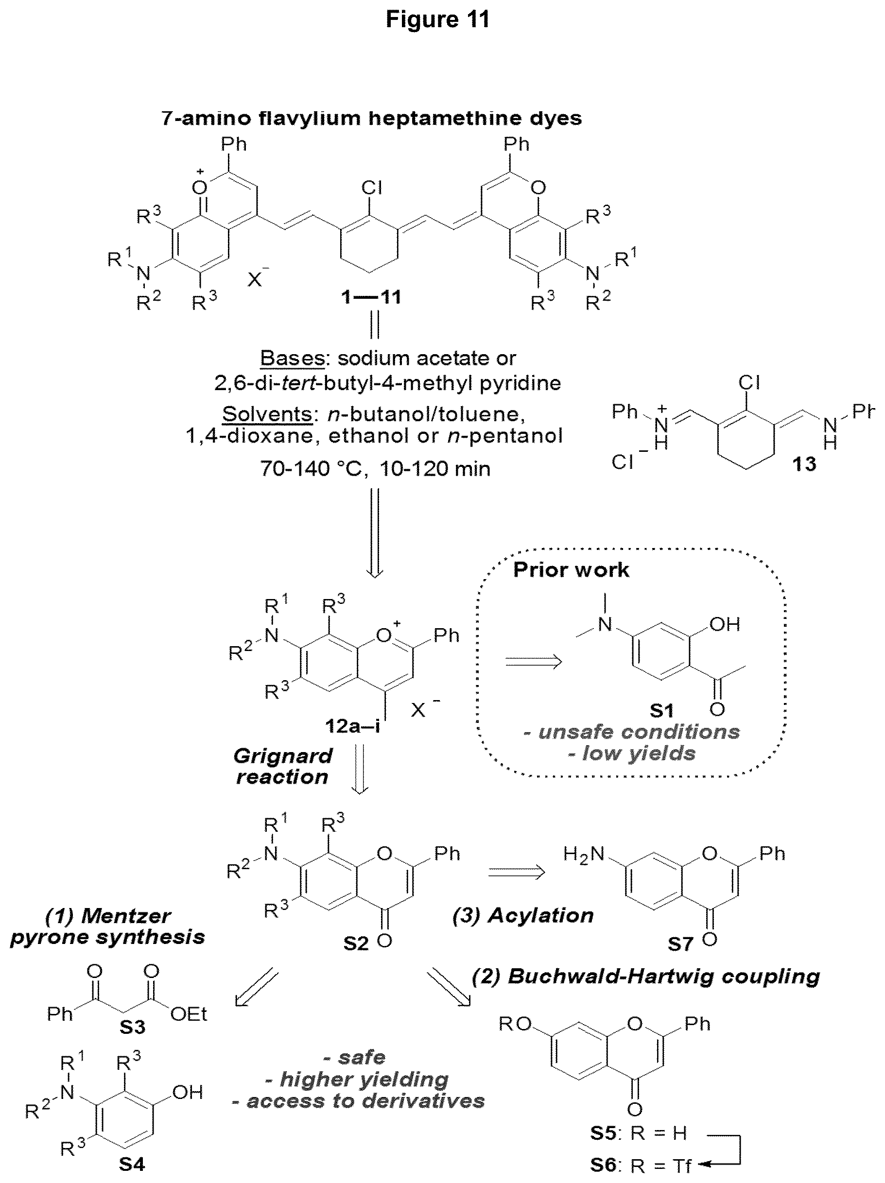 Patent US12618846 Figure 12 – Method and device for imaging fluorescent proteins in near- and short-wave infrared