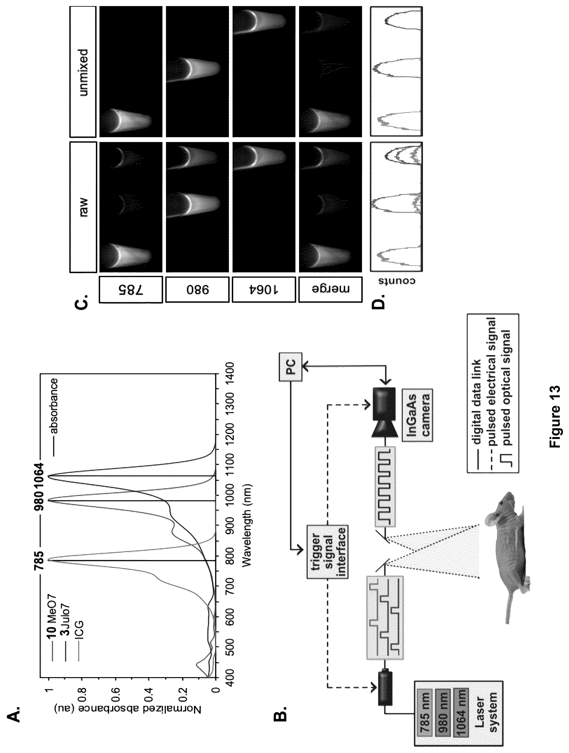 Patent US12618846 Figure 14 – Method and device for imaging fluorescent proteins in near- and short-wave infrared