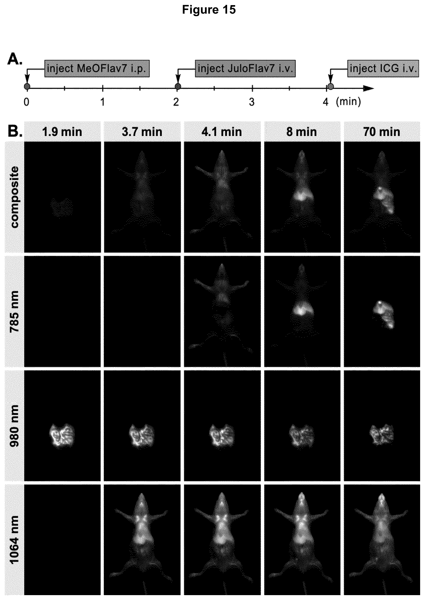 Patent US12618846 Figure 16 – Method and device for imaging fluorescent proteins in near- and short-wave infrared