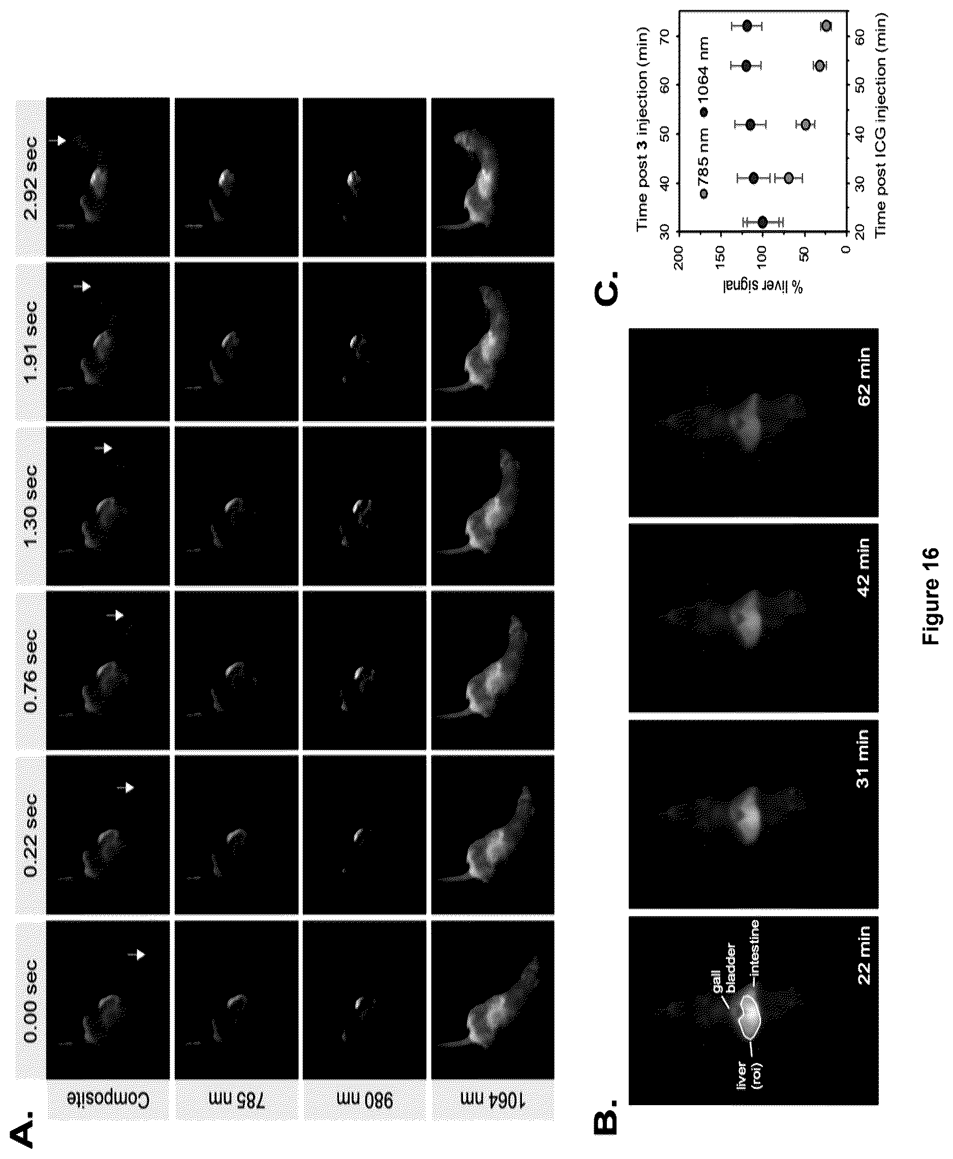 Patent US12618846 Figure 17 – Method and device for imaging fluorescent proteins in near- and short-wave infrared