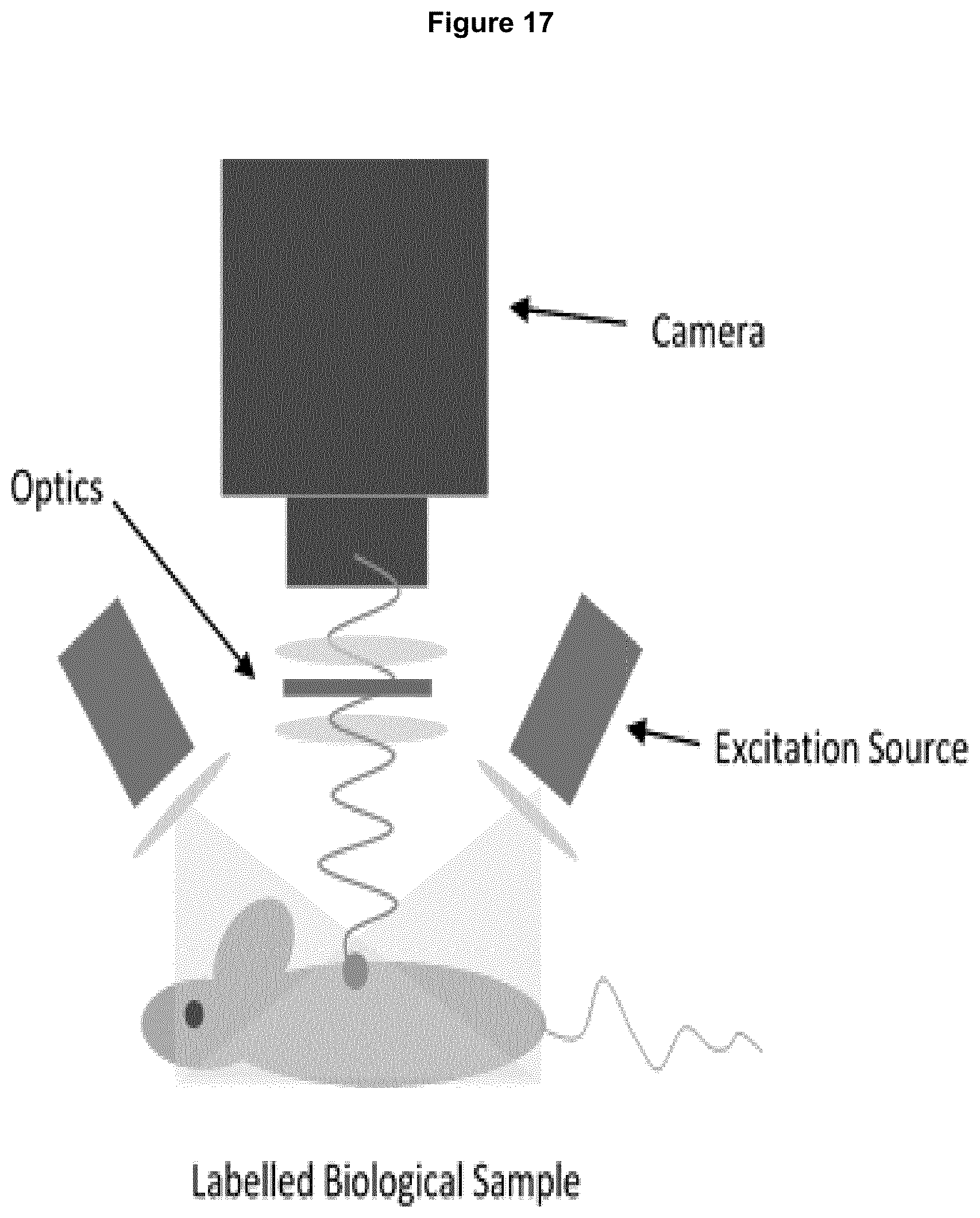 Patent US12618846 Figure 18 – Method and device for imaging fluorescent proteins in near- and short-wave infrared