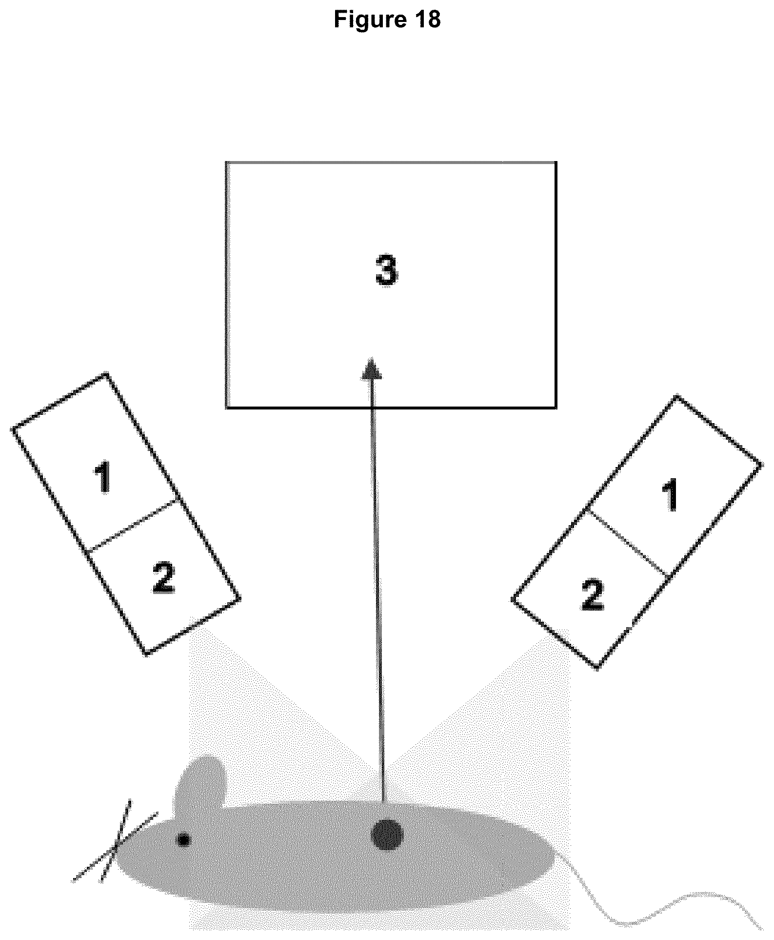 Patent US12618846 Figure 19 – Method and device for imaging fluorescent proteins in near- and short-wave infrared