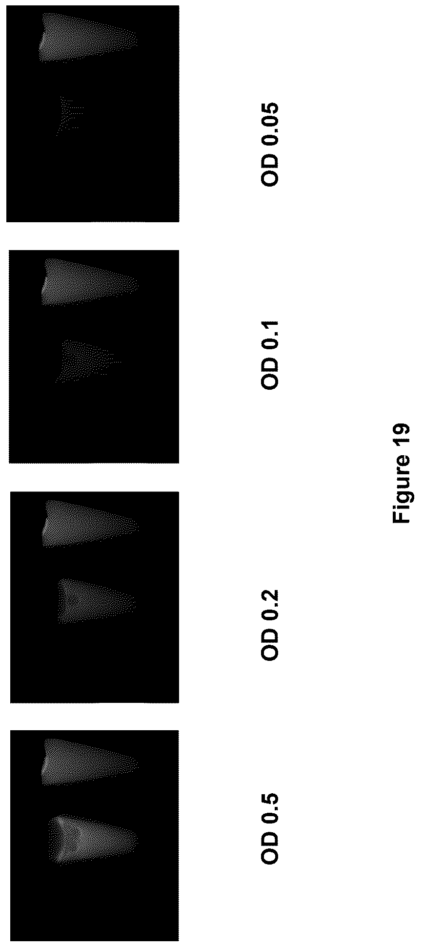 Patent US12618846 Figure 20 – Method and device for imaging fluorescent proteins in near- and short-wave infrared