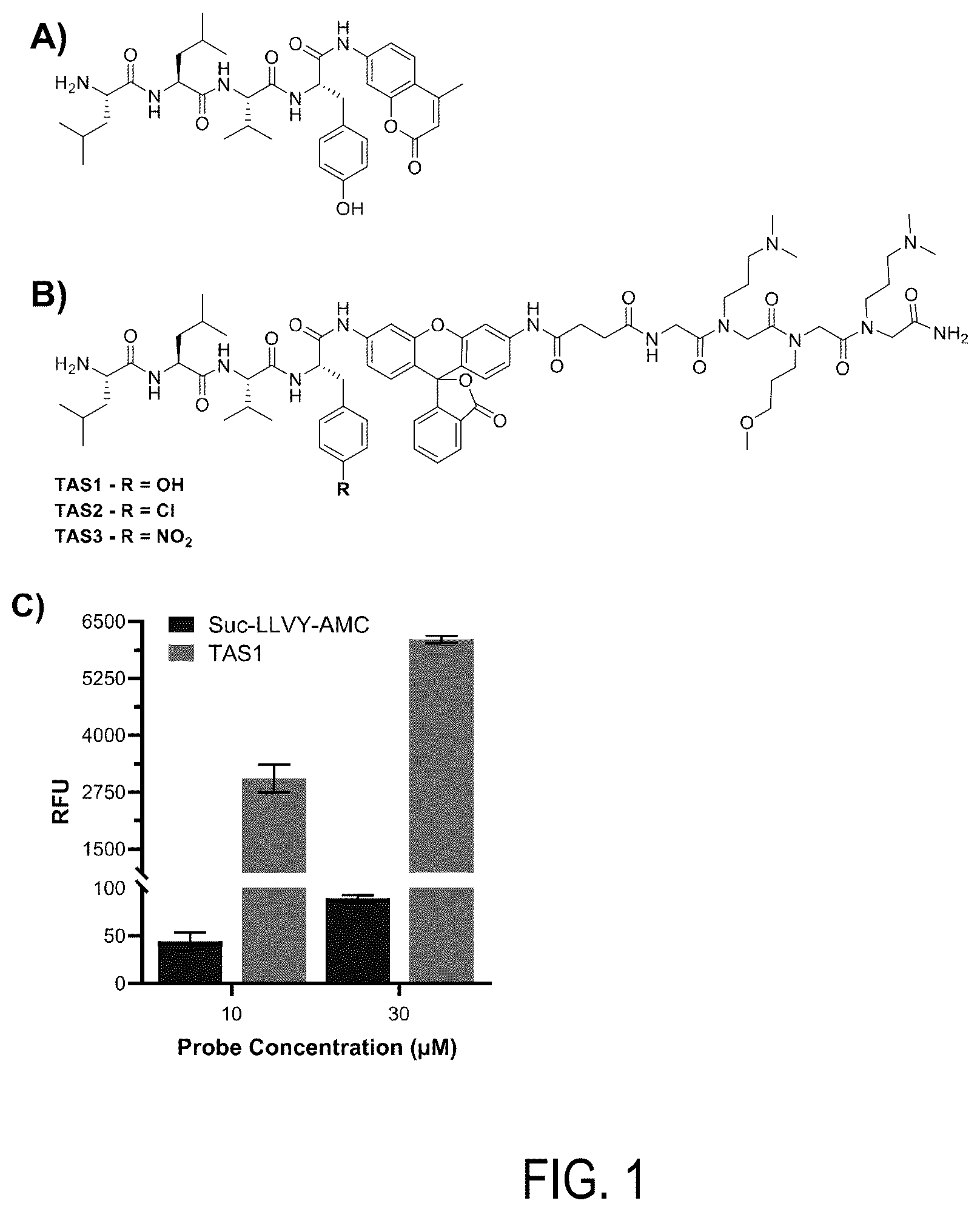 Patent US12618847 Figure 1 – Activity-based probes with unnatural amino acids to monitor proteasome activity