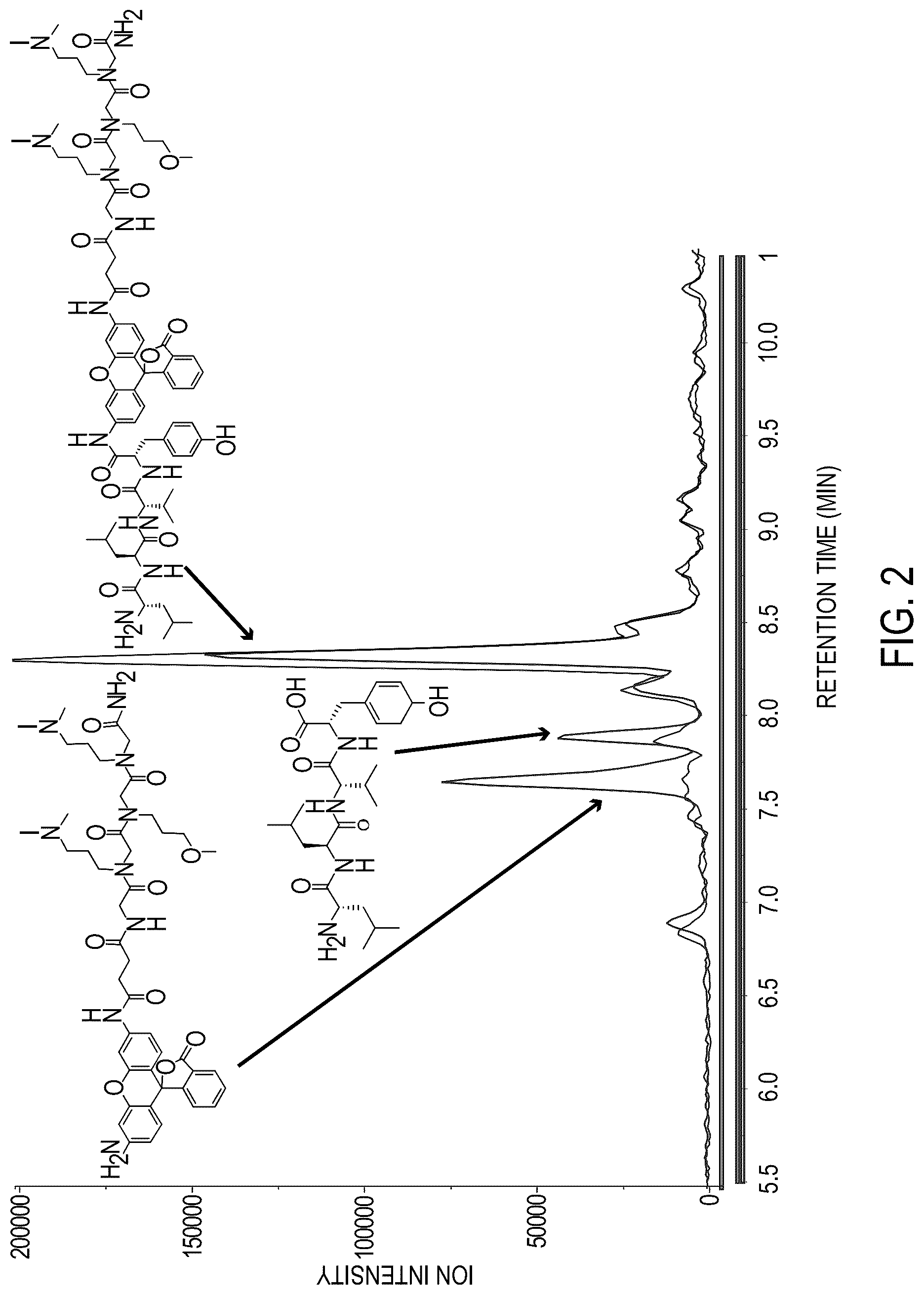 Patent US12618847 Figure 2 – Activity-based probes with unnatural amino acids to monitor proteasome activity
