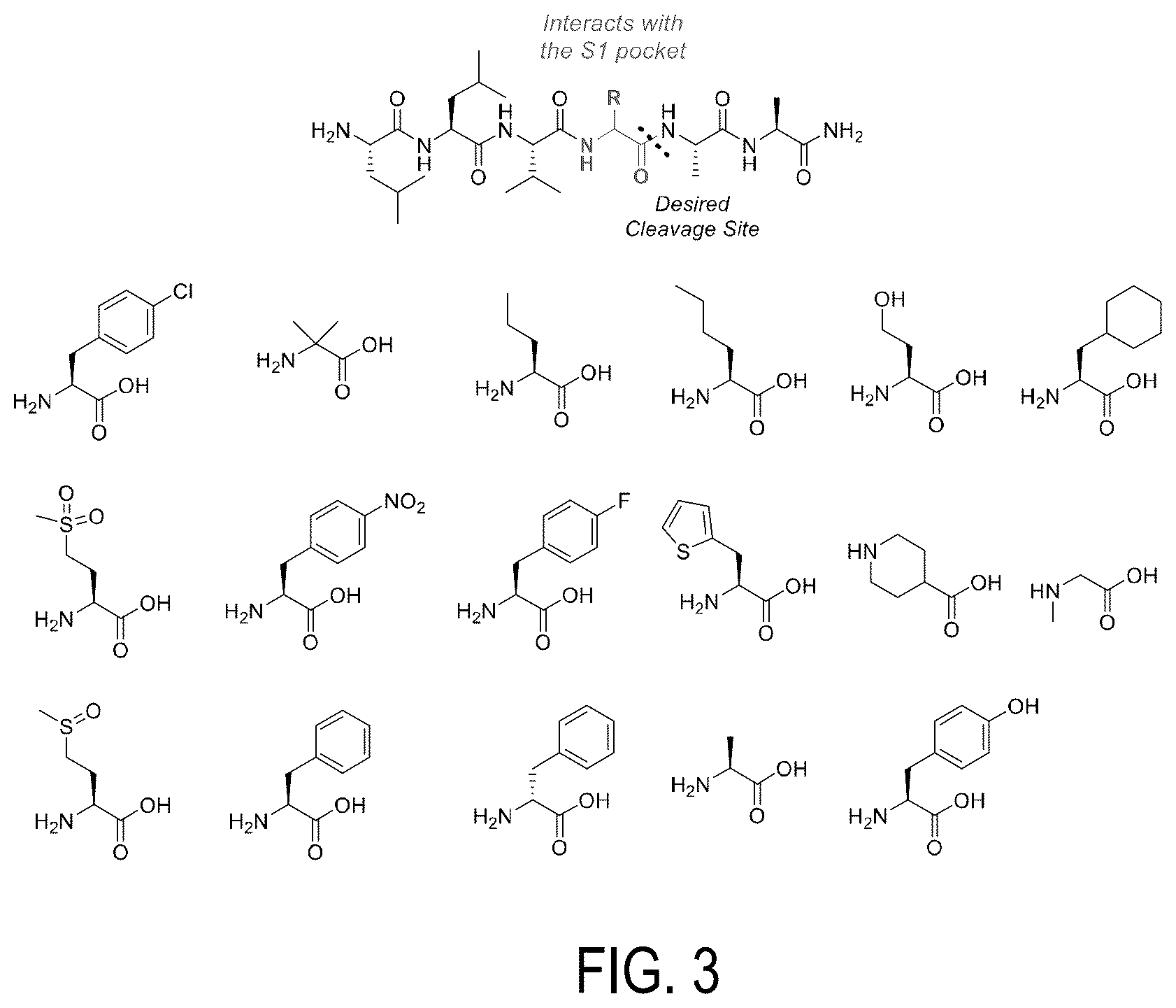 Patent US12618847 Figure 3 – Activity-based probes with unnatural amino acids to monitor proteasome activity