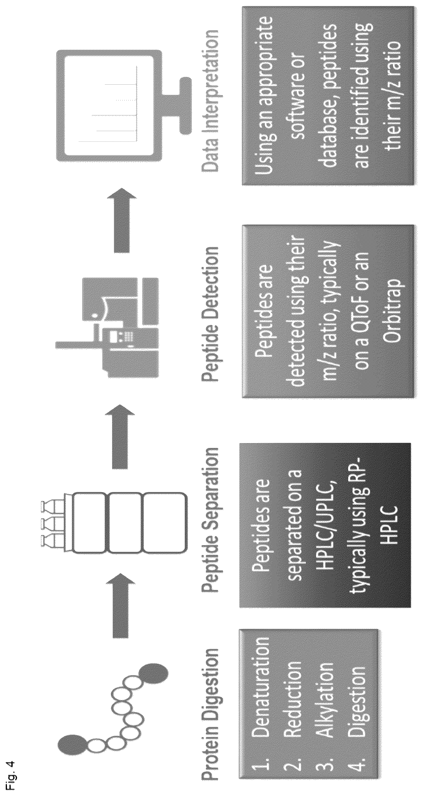 Patent US12618850 Figure 9 – Methods for analyzing AAV capsid proteins