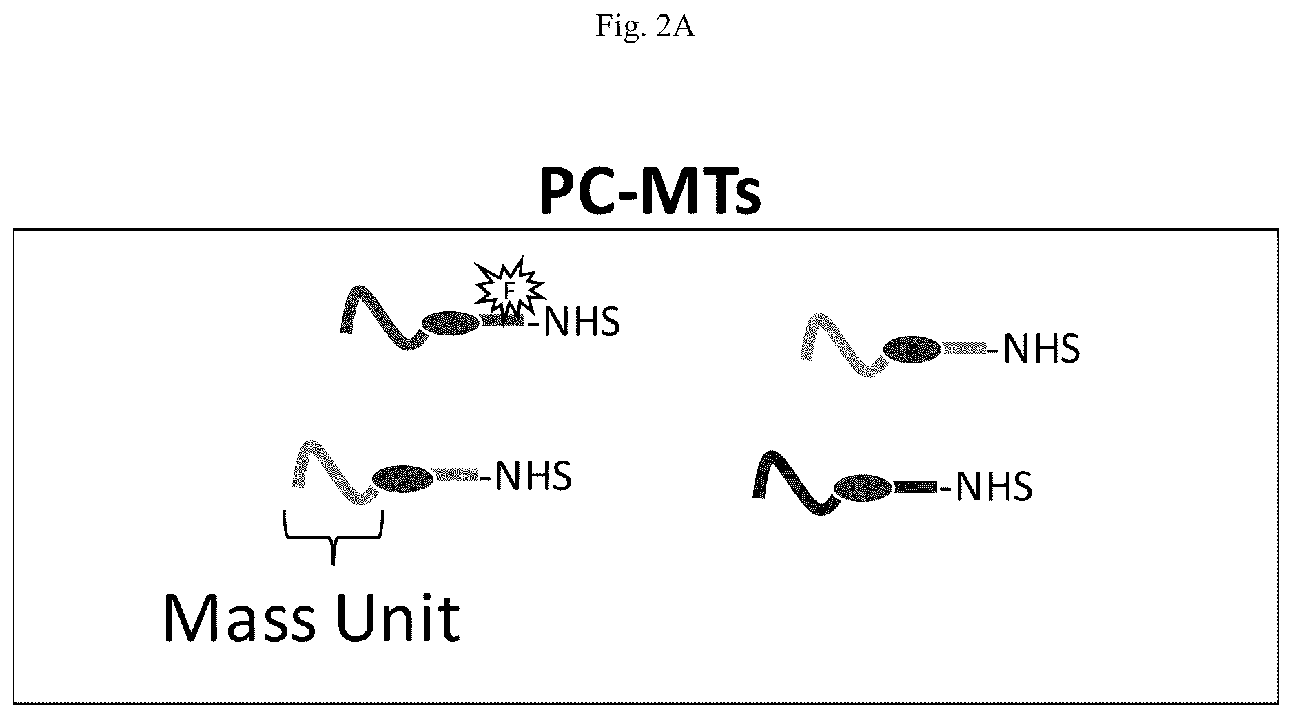 Patent US12618852 Figure 2 – Photocleavable mass-tags for multiplexed mass spectrometric imaging of tissues using biomolecular probes