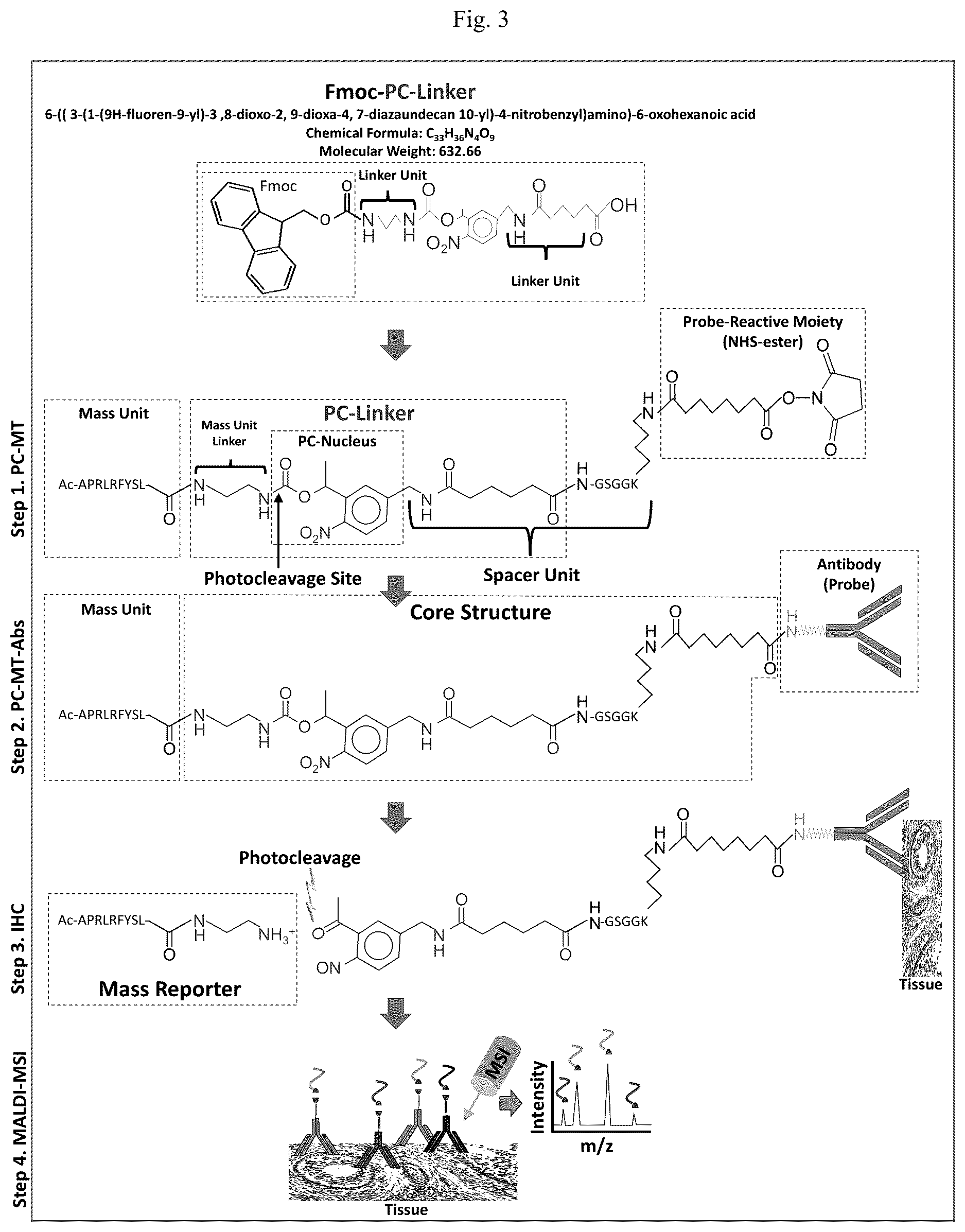 Patent US12618852 Figure 5 – Photocleavable mass-tags for multiplexed mass spectrometric imaging of tissues using biomolecular probes