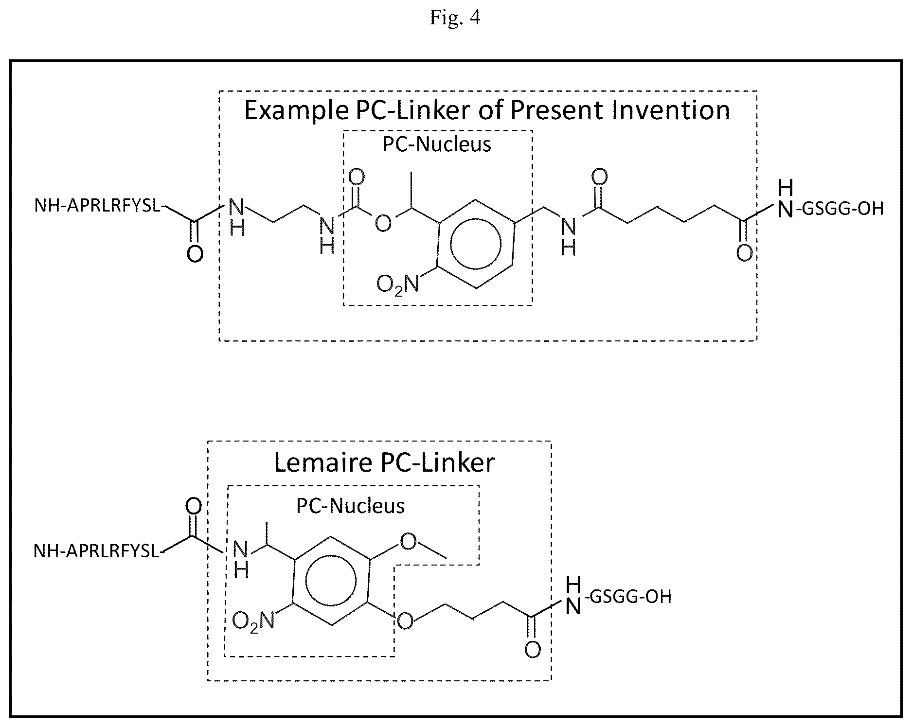 Patent US12618852 Figure 6 – Photocleavable mass-tags for multiplexed mass spectrometric imaging of tissues using biomolecular probes
