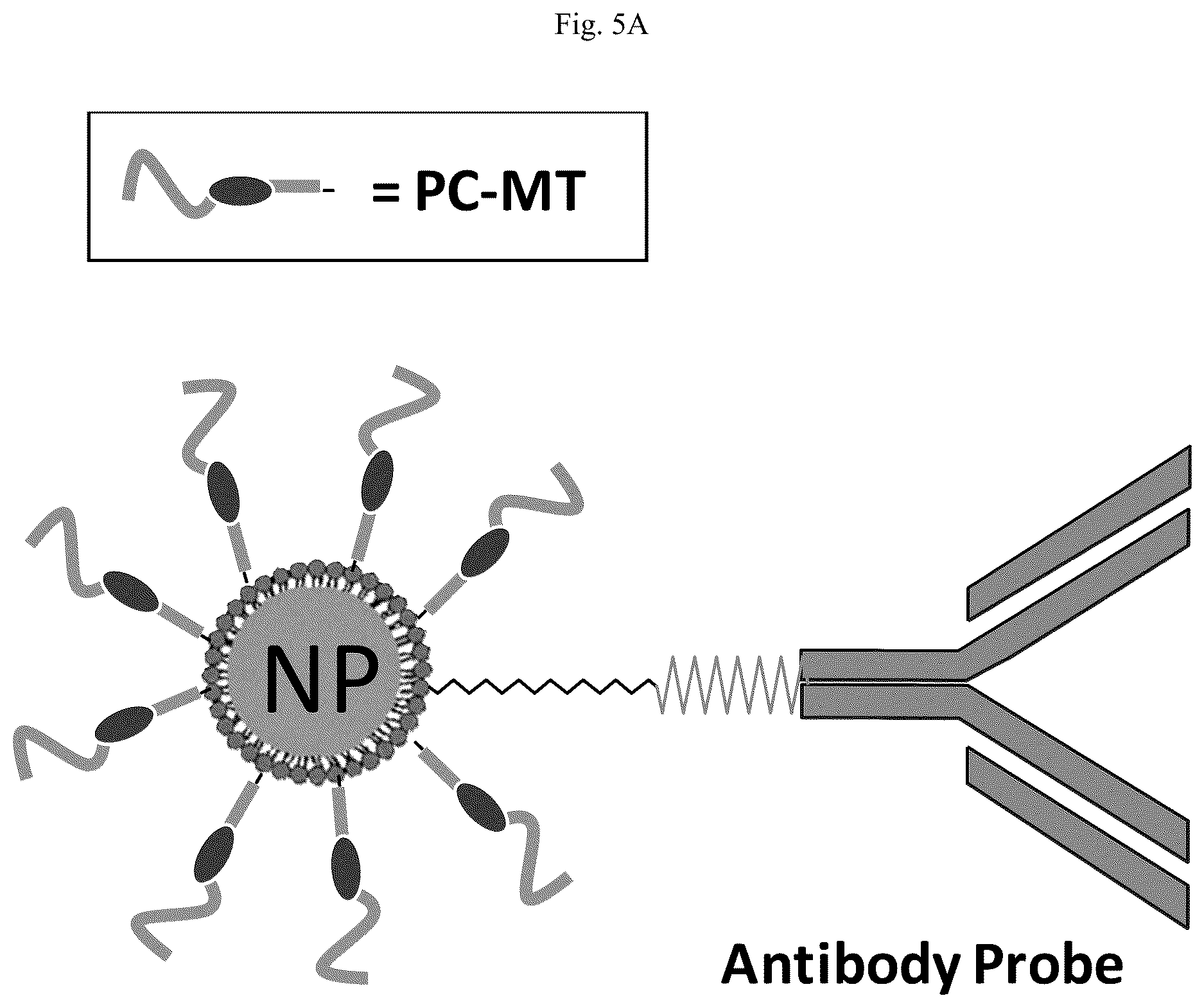 Patent US12618852 Figure 7 – Photocleavable mass-tags for multiplexed mass spectrometric imaging of tissues using biomolecular probes