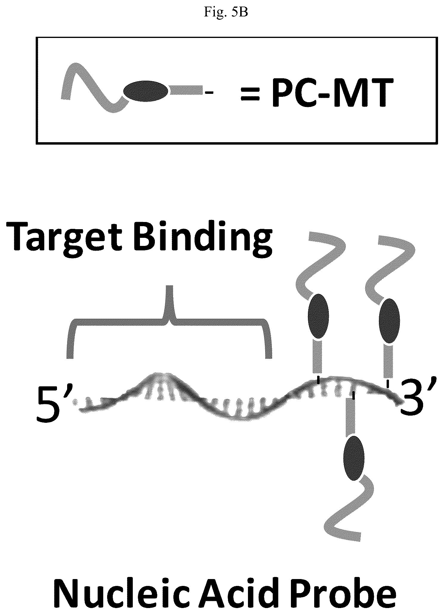 Patent US12618852 Figure 8 – Photocleavable mass-tags for multiplexed mass spectrometric imaging of tissues using biomolecular probes