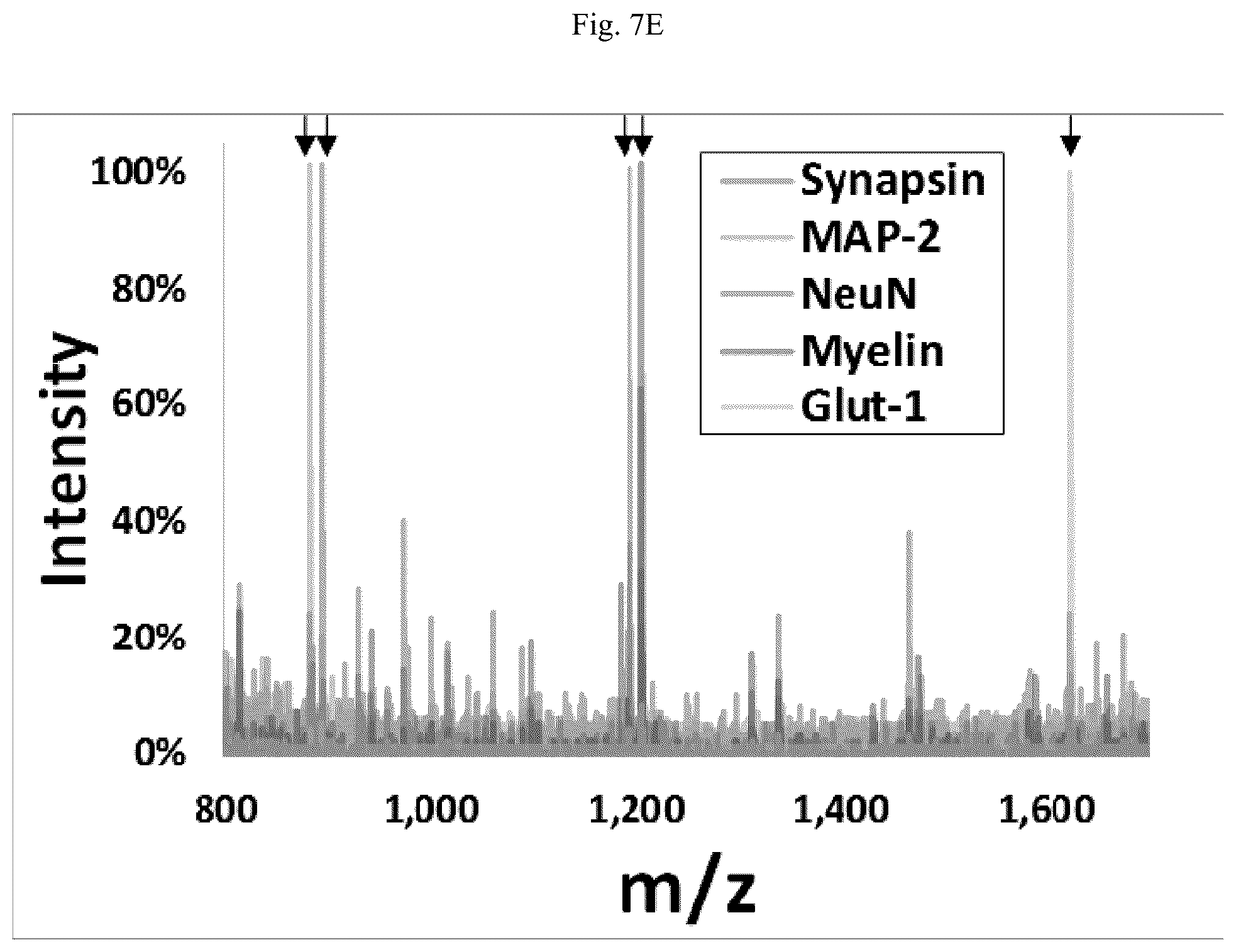 Patent US12618852 Figure 14 – Photocleavable mass-tags for multiplexed mass spectrometric imaging of tissues using biomolecular probes