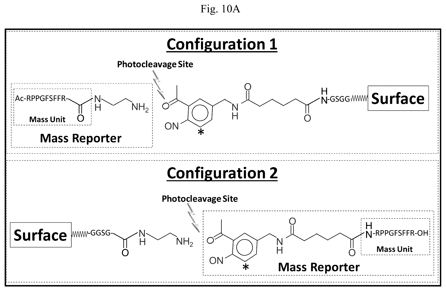 Patent US12618852 Figure 20 – Photocleavable mass-tags for multiplexed mass spectrometric imaging of tissues using biomolecular probes