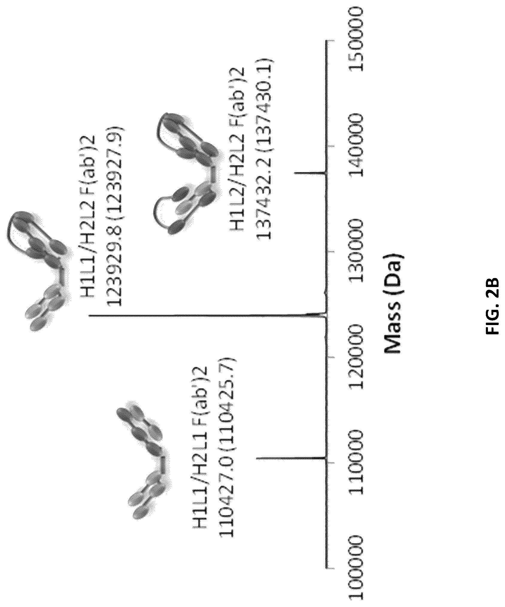 Patent US12618853 Figure 4 – Methods for analyzing chain mispairing in multispecific binding proteins