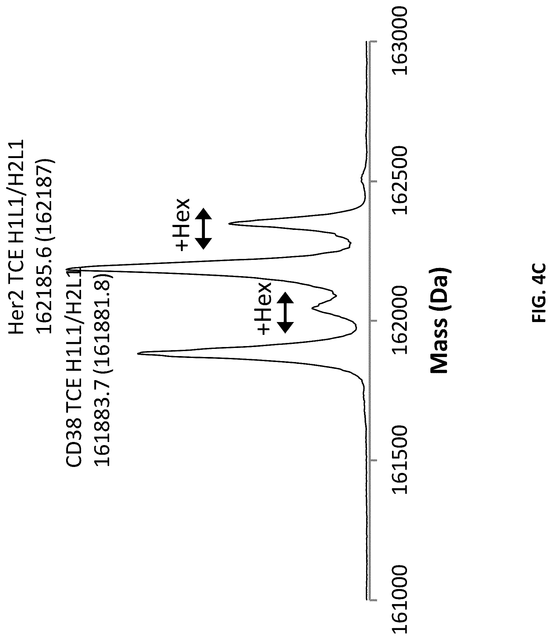 Patent US12618853 Figure 10 – Methods for analyzing chain mispairing in multispecific binding proteins