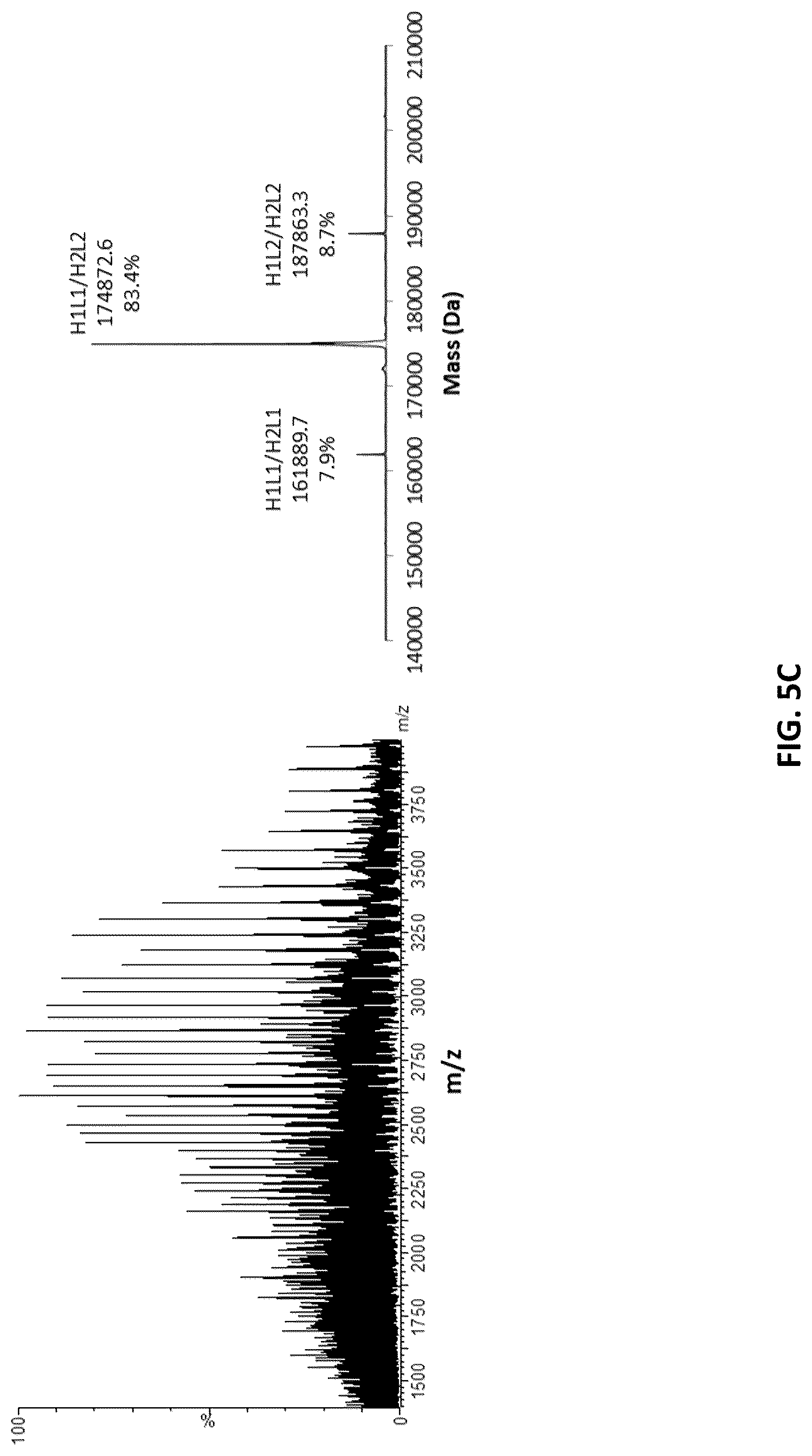 Patent US12618853 Figure 13 – Methods for analyzing chain mispairing in multispecific binding proteins