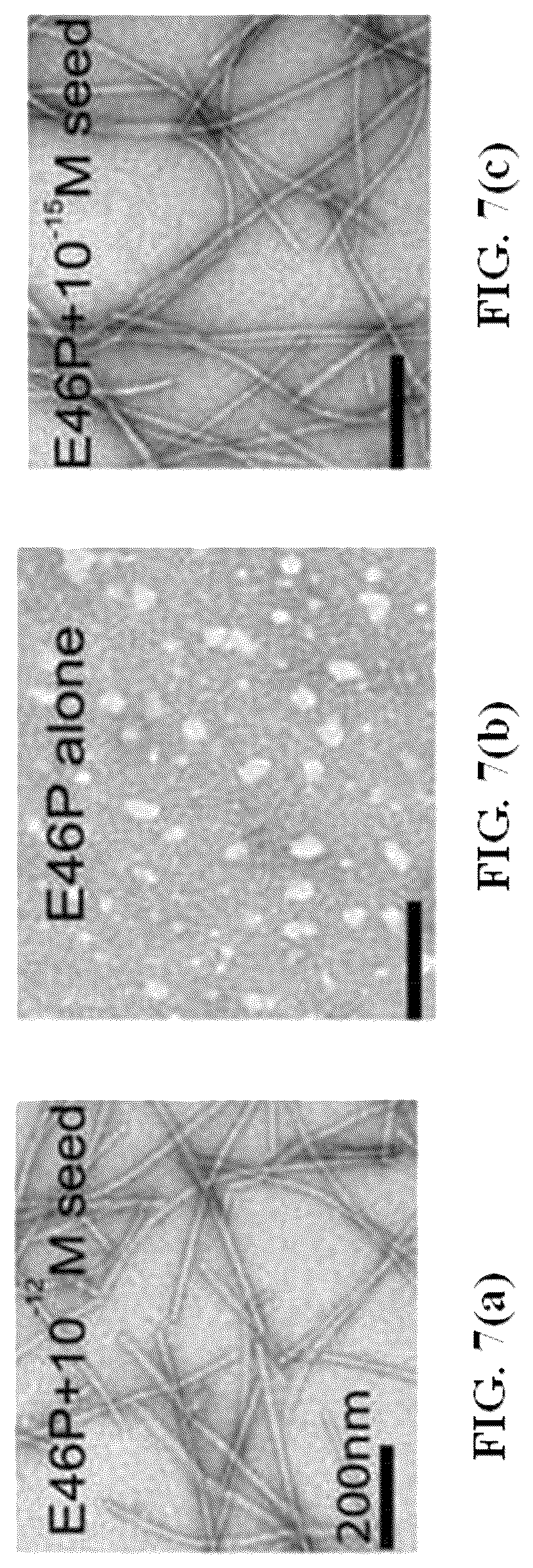 Patent US12618856 Figure 10 – Alpha-synuclein mutants and uses thereof