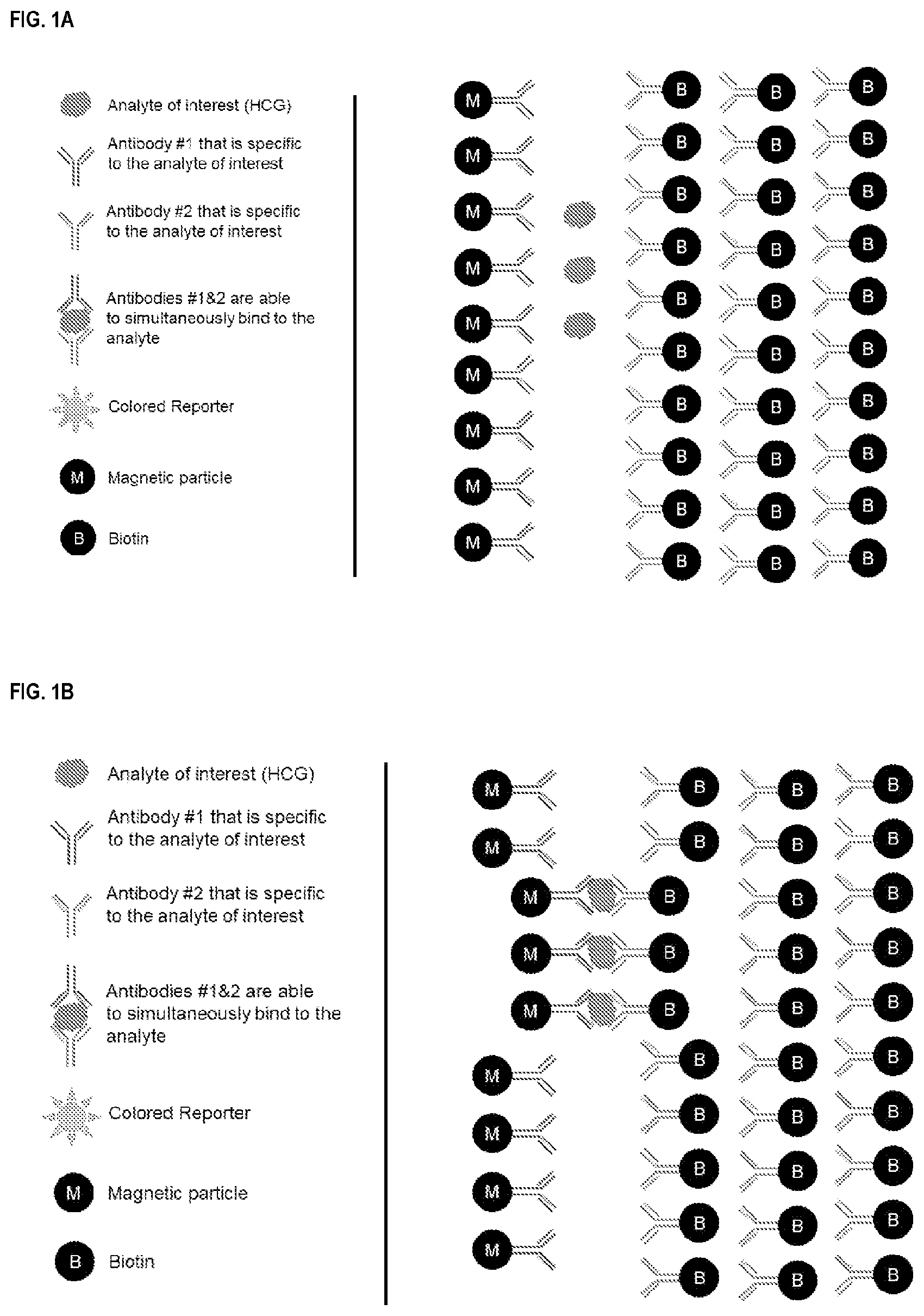 Patent US12618858 — Kinetic modulation for magnetic analyte detection — Figure 1