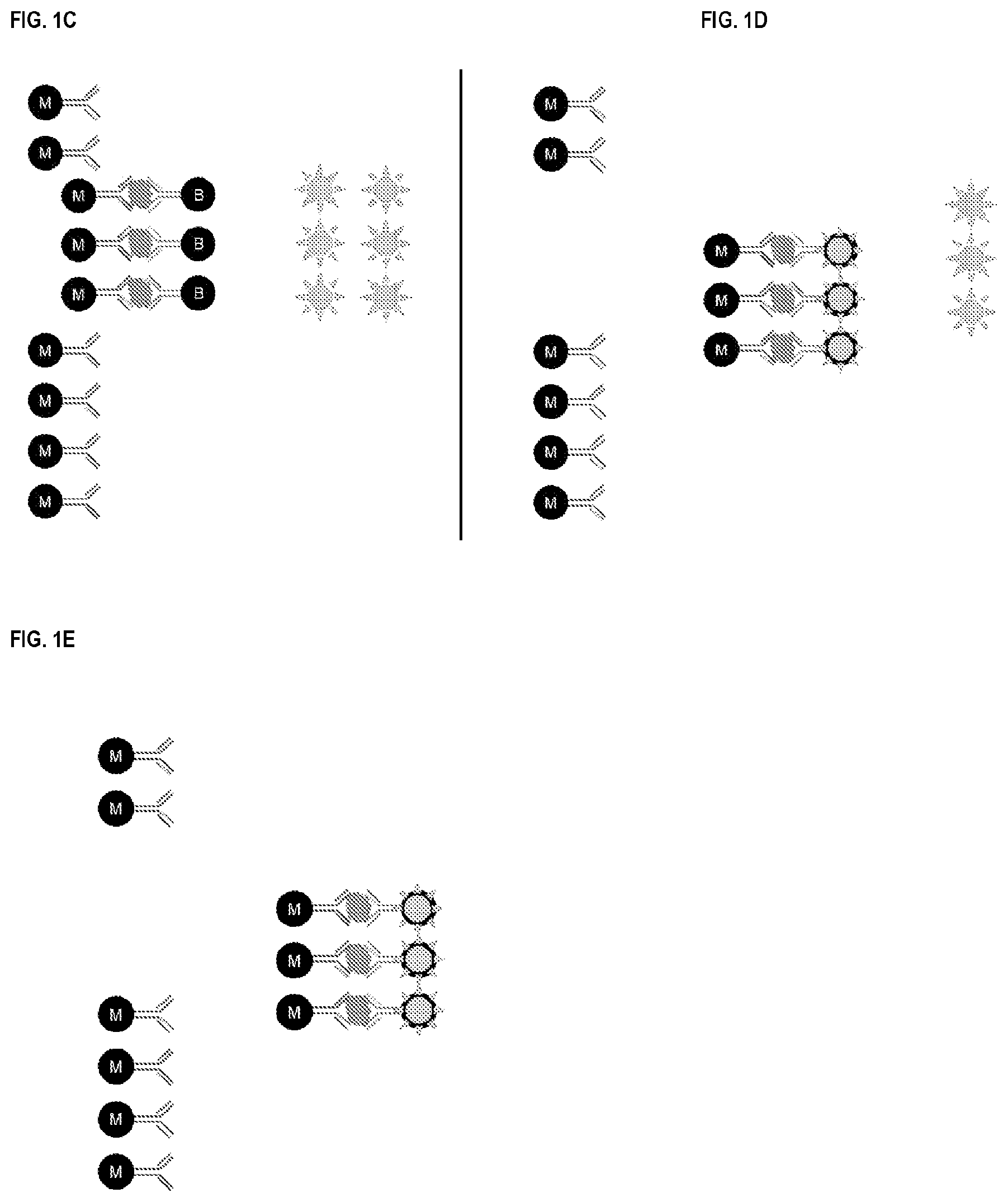 Patent US12618858 Figure 2 – Kinetic modulation for magnetic analyte detection