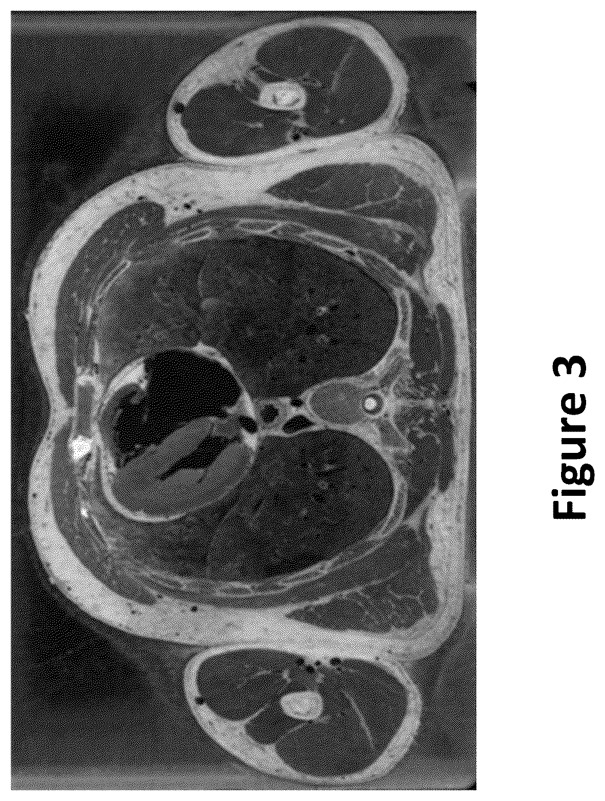 Patent US12618967 Figure 3 – Radar-based cross-sectional image reconstruction of subject