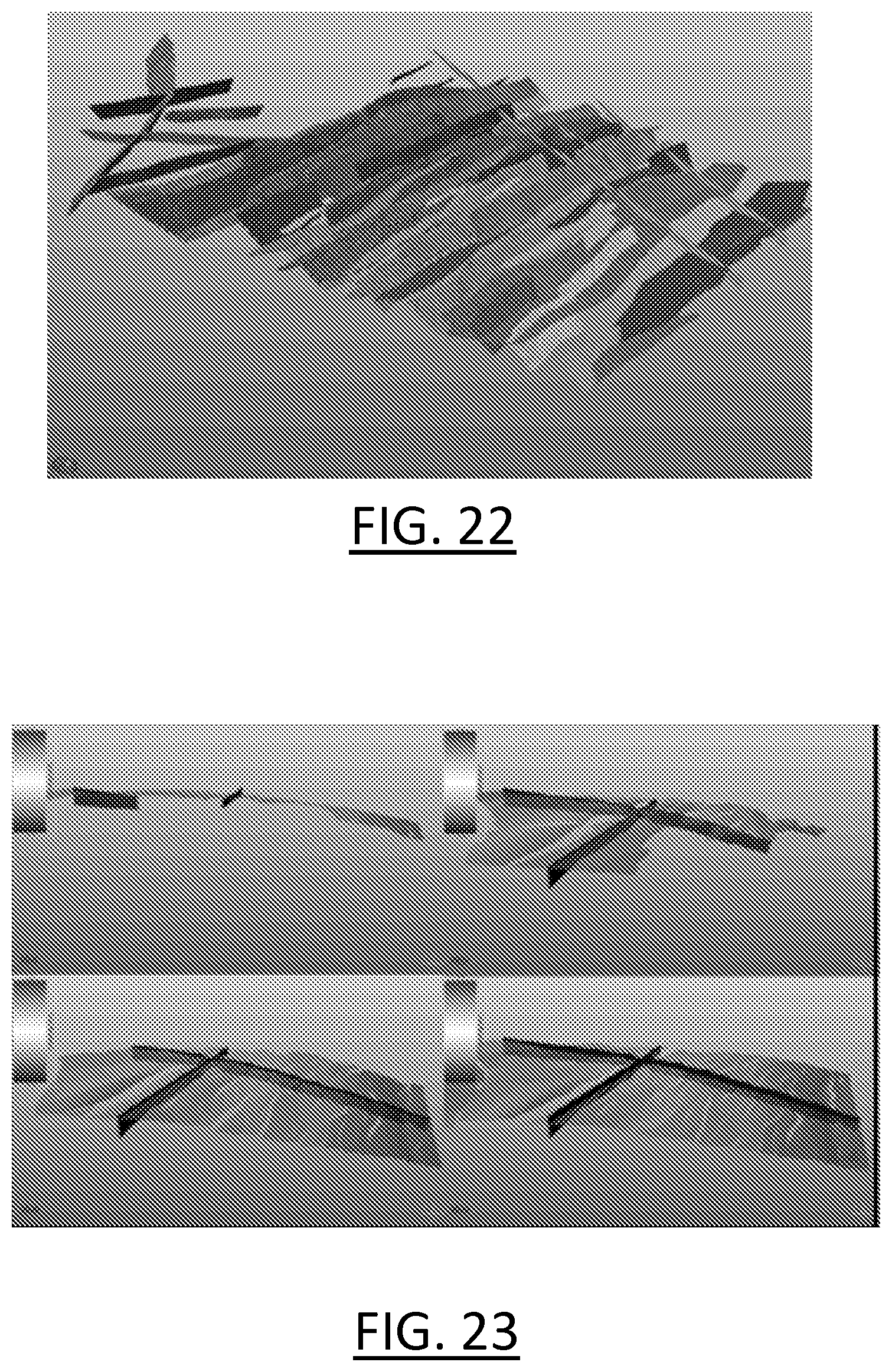 Patent US12619000 Figure 9 – Painting for geomodeling
