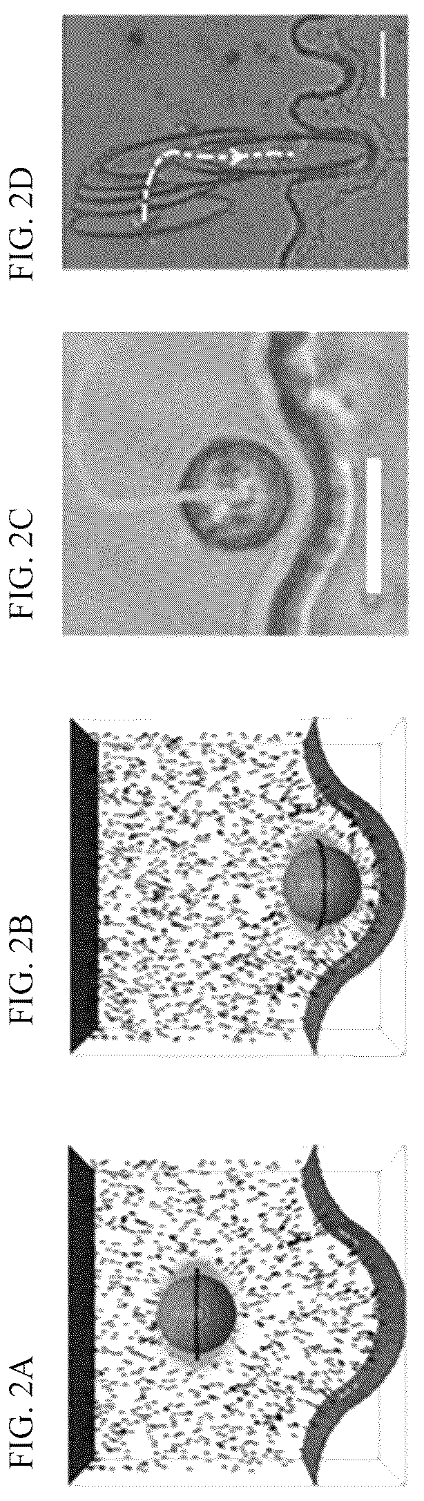 Patent US12619003 Figure 2 – Multistable elastic pixel (mep)-based reversibly reconfigurable metasurfaces