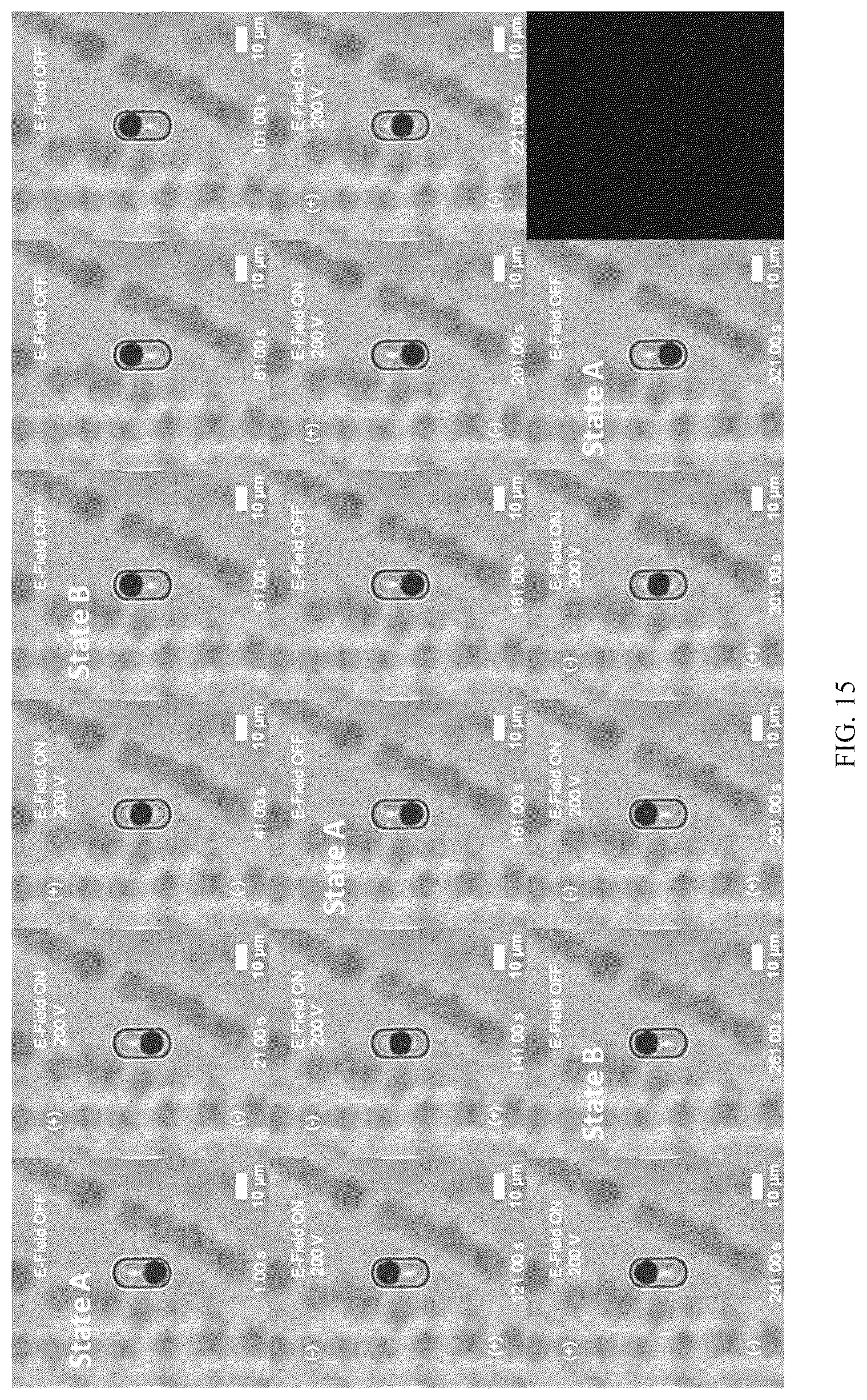 Patent US12619003 Figure 15 – Multistable elastic pixel (mep)-based reversibly reconfigurable metasurfaces