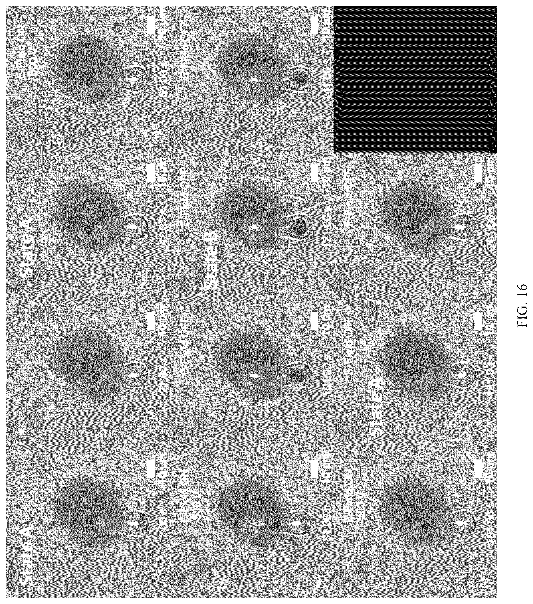 Patent US12619003 Figure 16 – Multistable elastic pixel (mep)-based reversibly reconfigurable metasurfaces