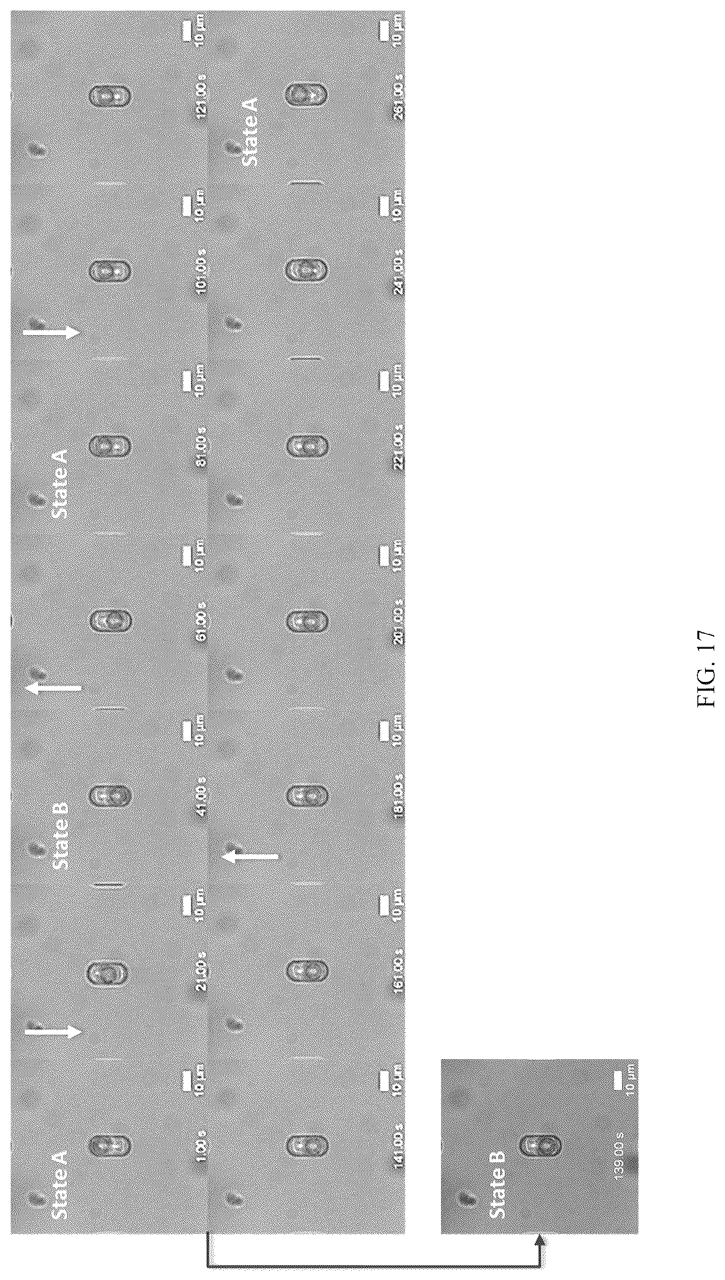 Patent US12619003 Figure 17 – Multistable elastic pixel (mep)-based reversibly reconfigurable metasurfaces